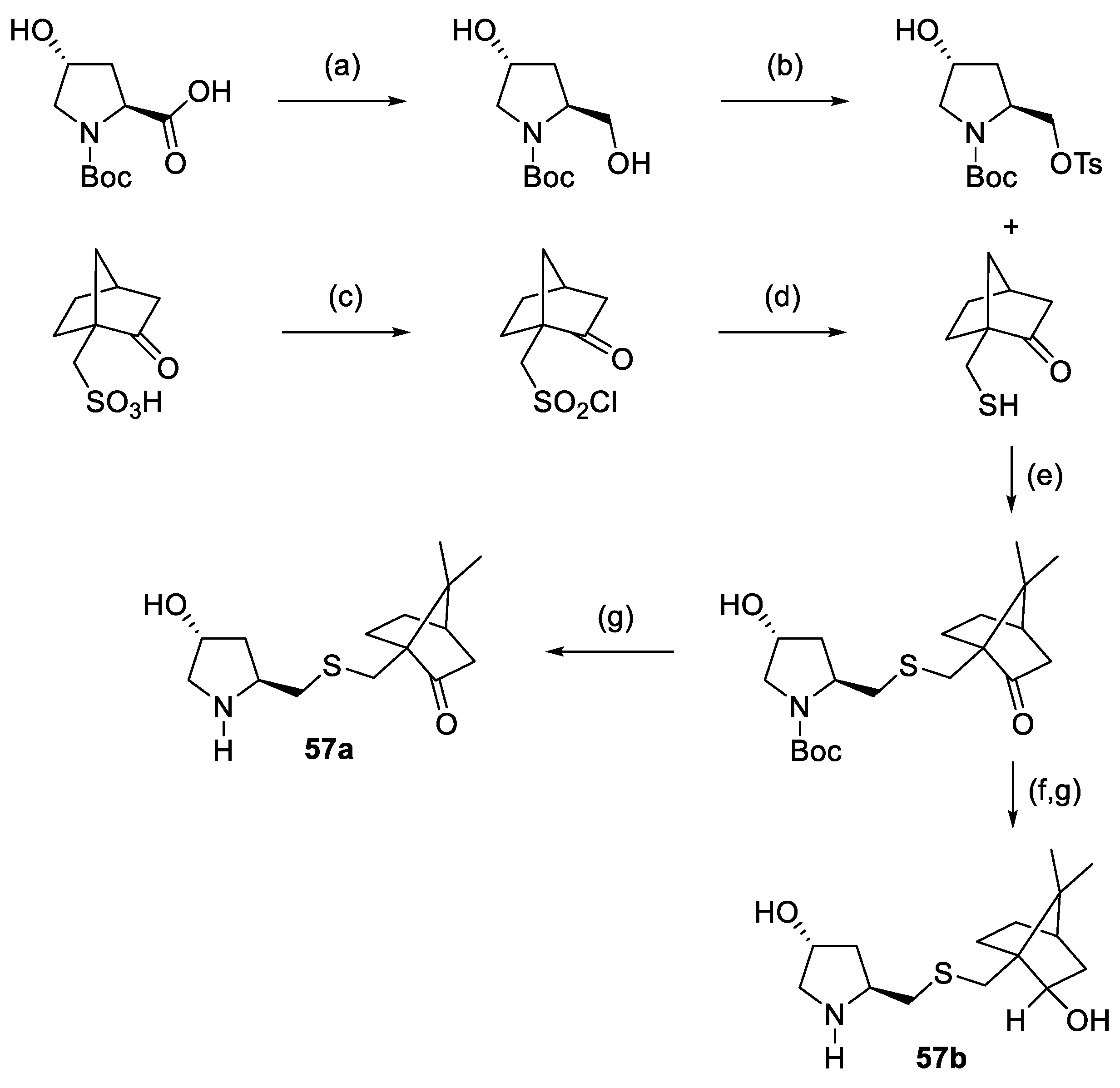 Molecules 28 02234 sch026 Molecules 28 02234 sch026