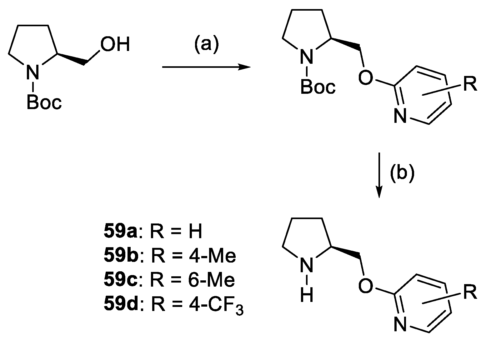 Molecules 28 02234 sch028 Molecules 28 02234 sch028