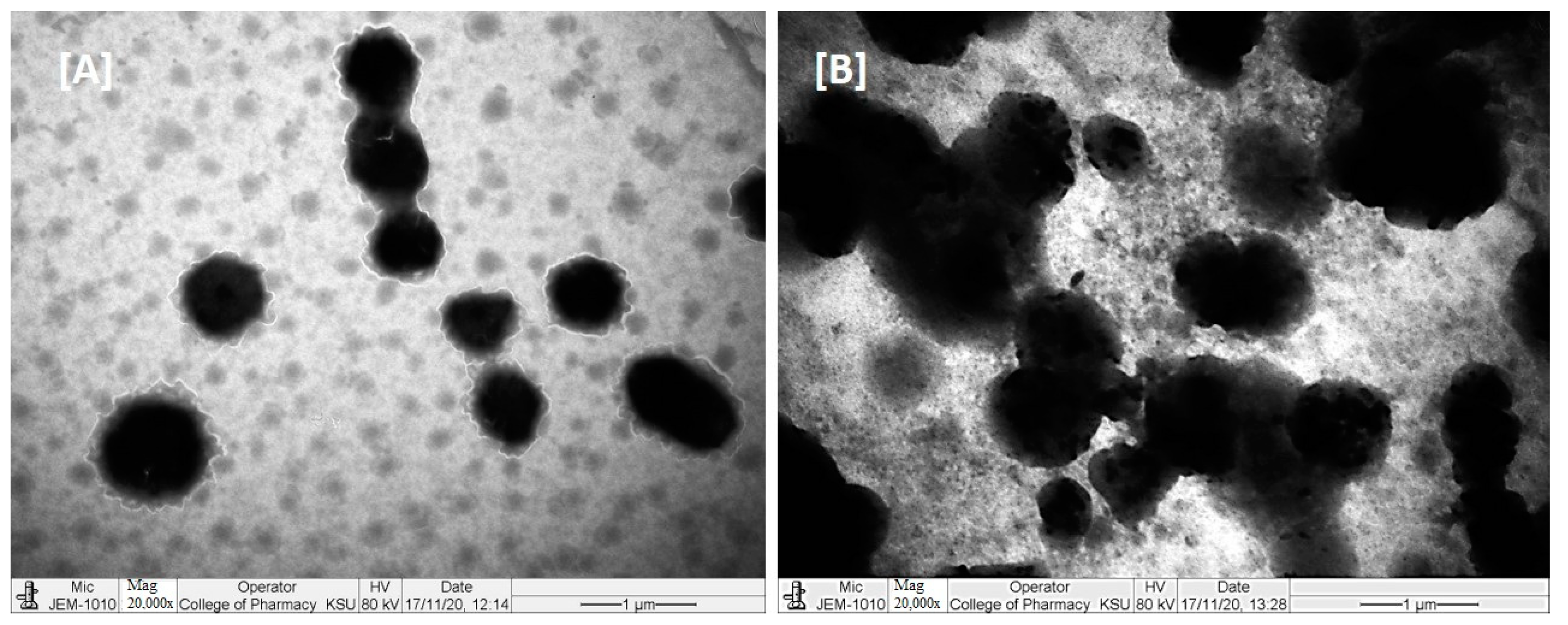 Molecules 28 02237 g006