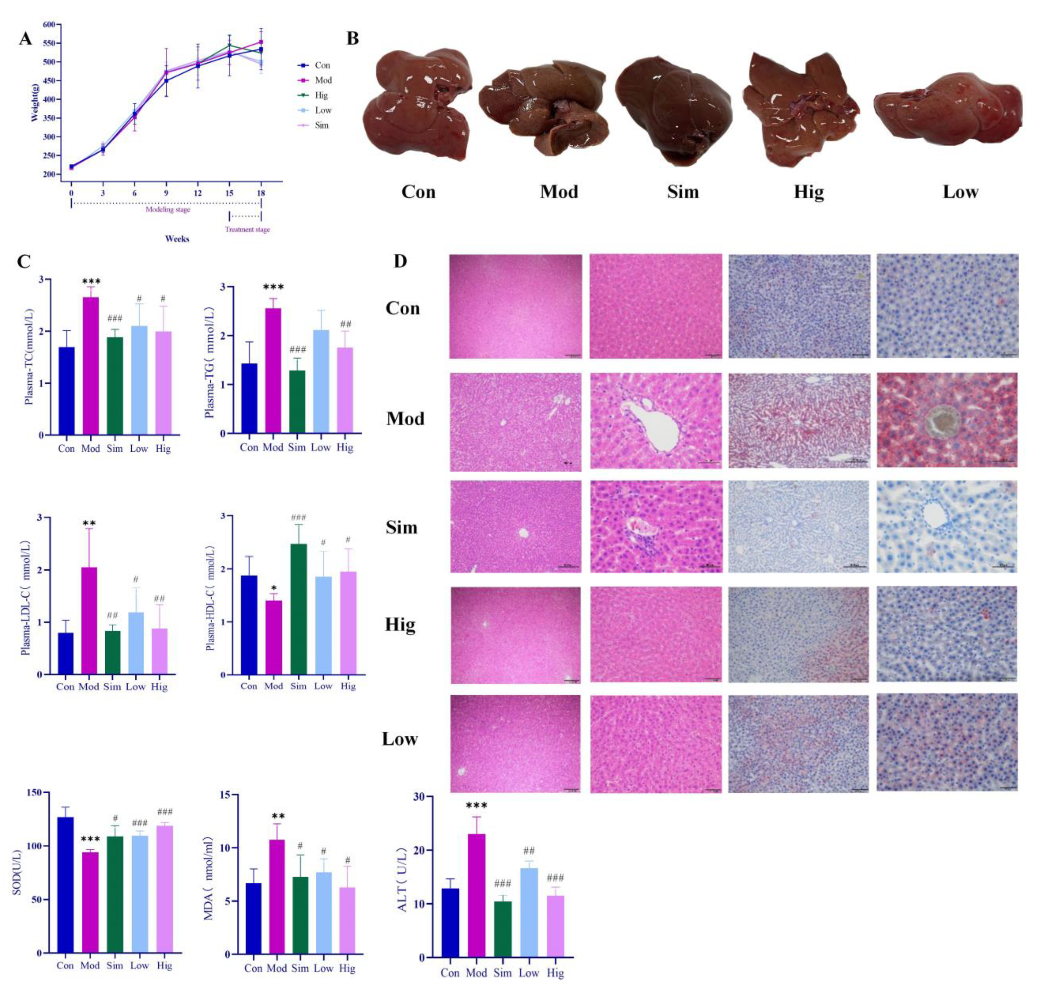 Molecules 28 02242 g003