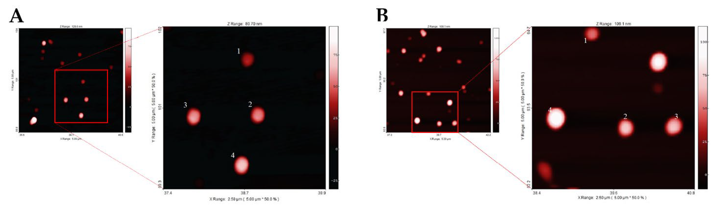 Molecules 28 02251 g004