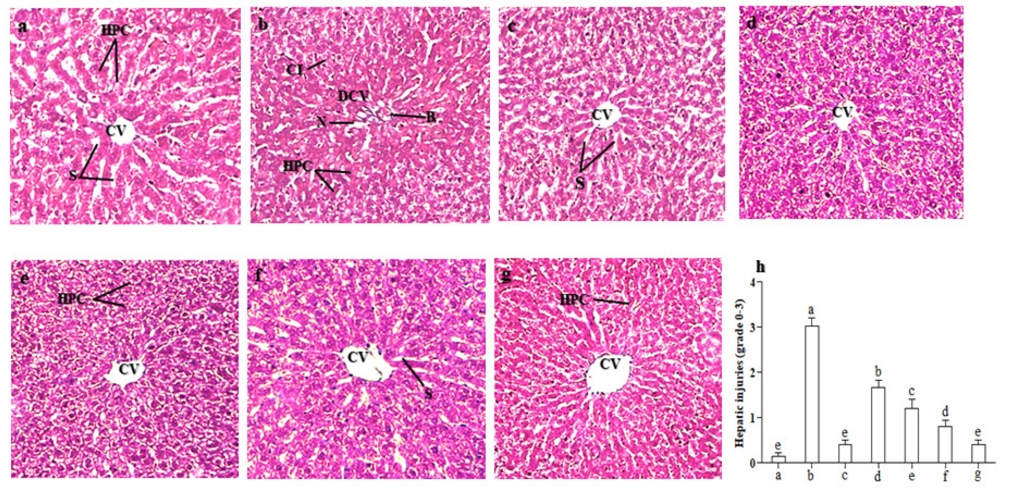 Molecules 28 02257 g004