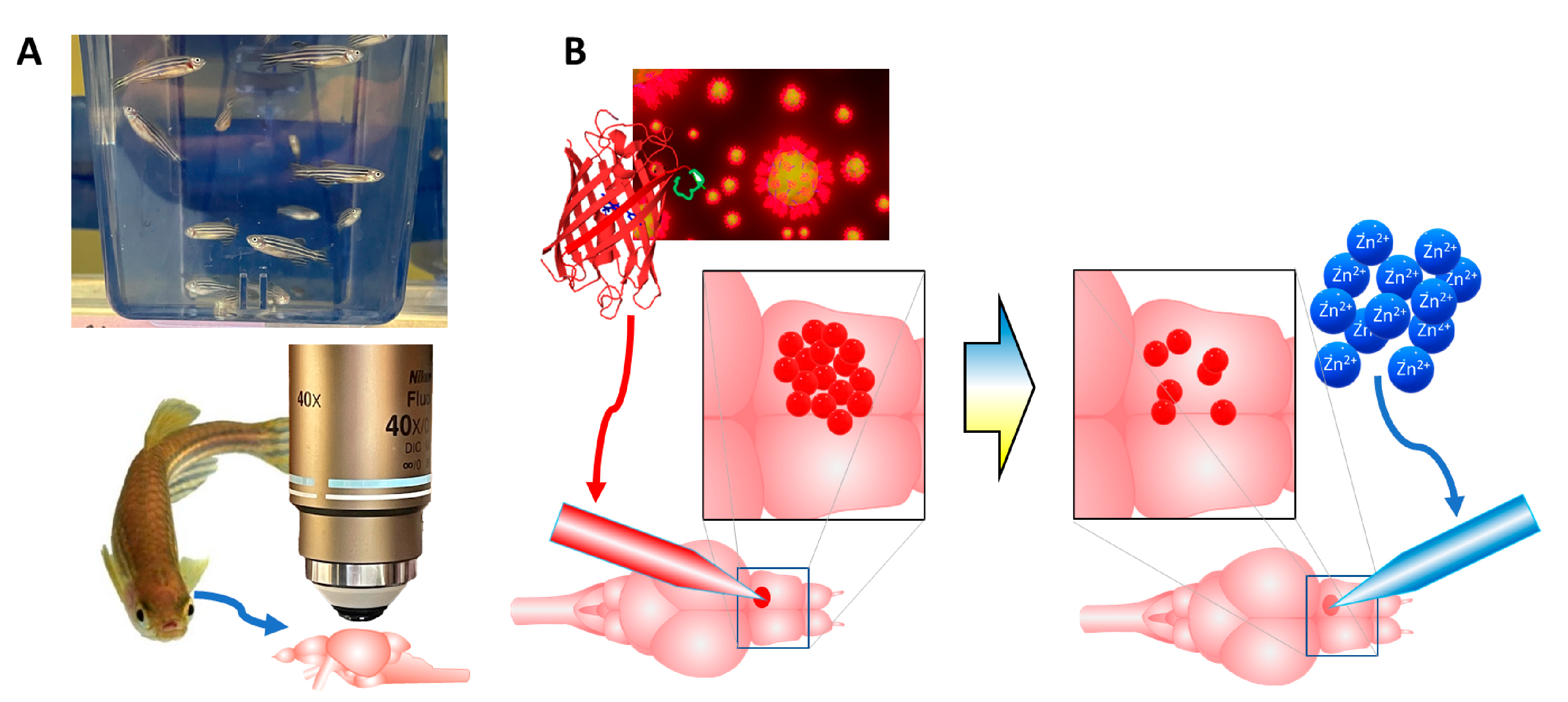 Molecules 28 02260 g001
