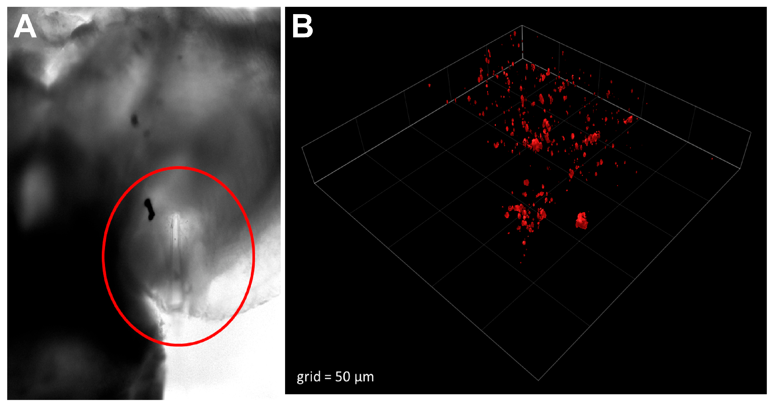 Molecules 28 02260 g004