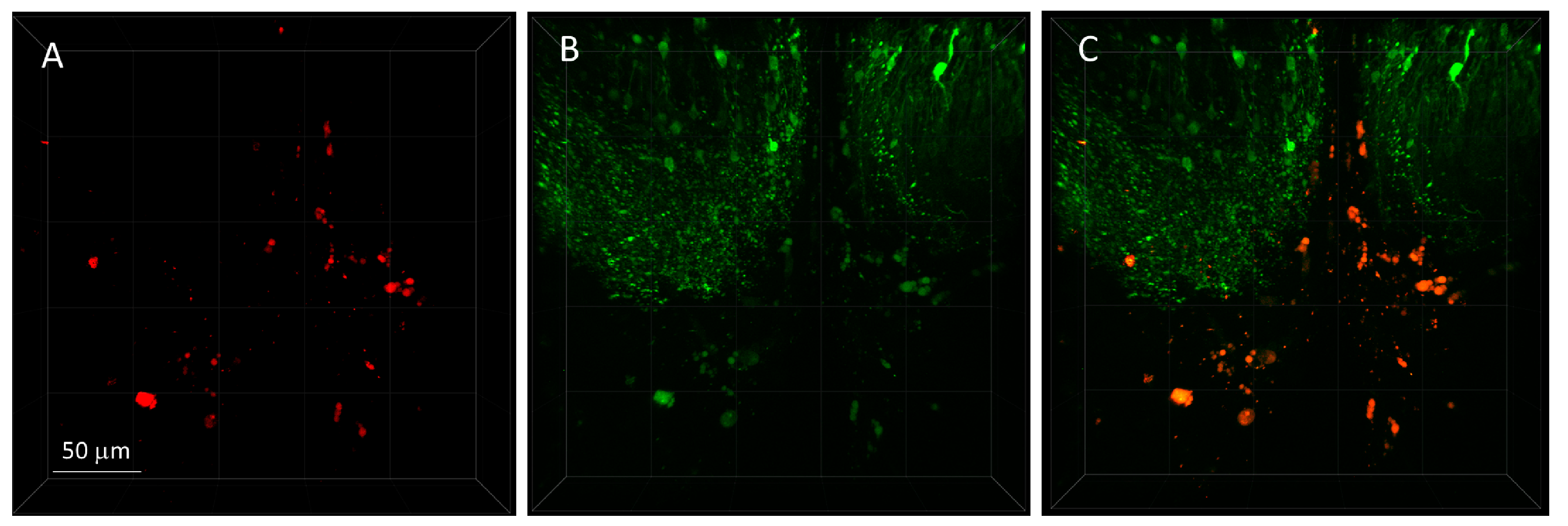 Molecules 28 02260 g006