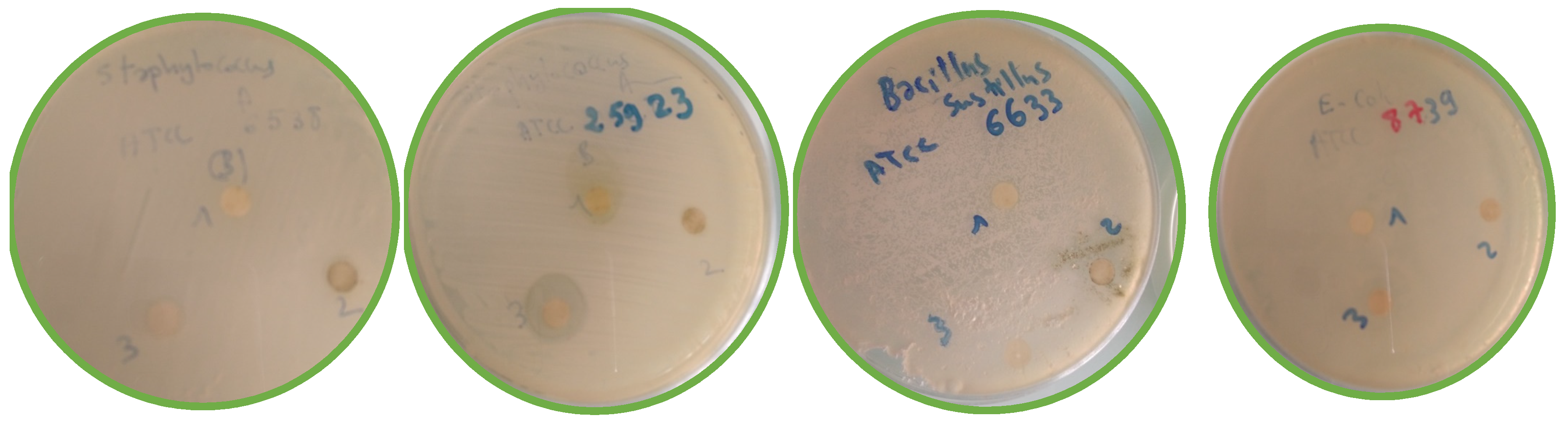 Molecules 28 02263 g014a Molecules 28 02263 g014a