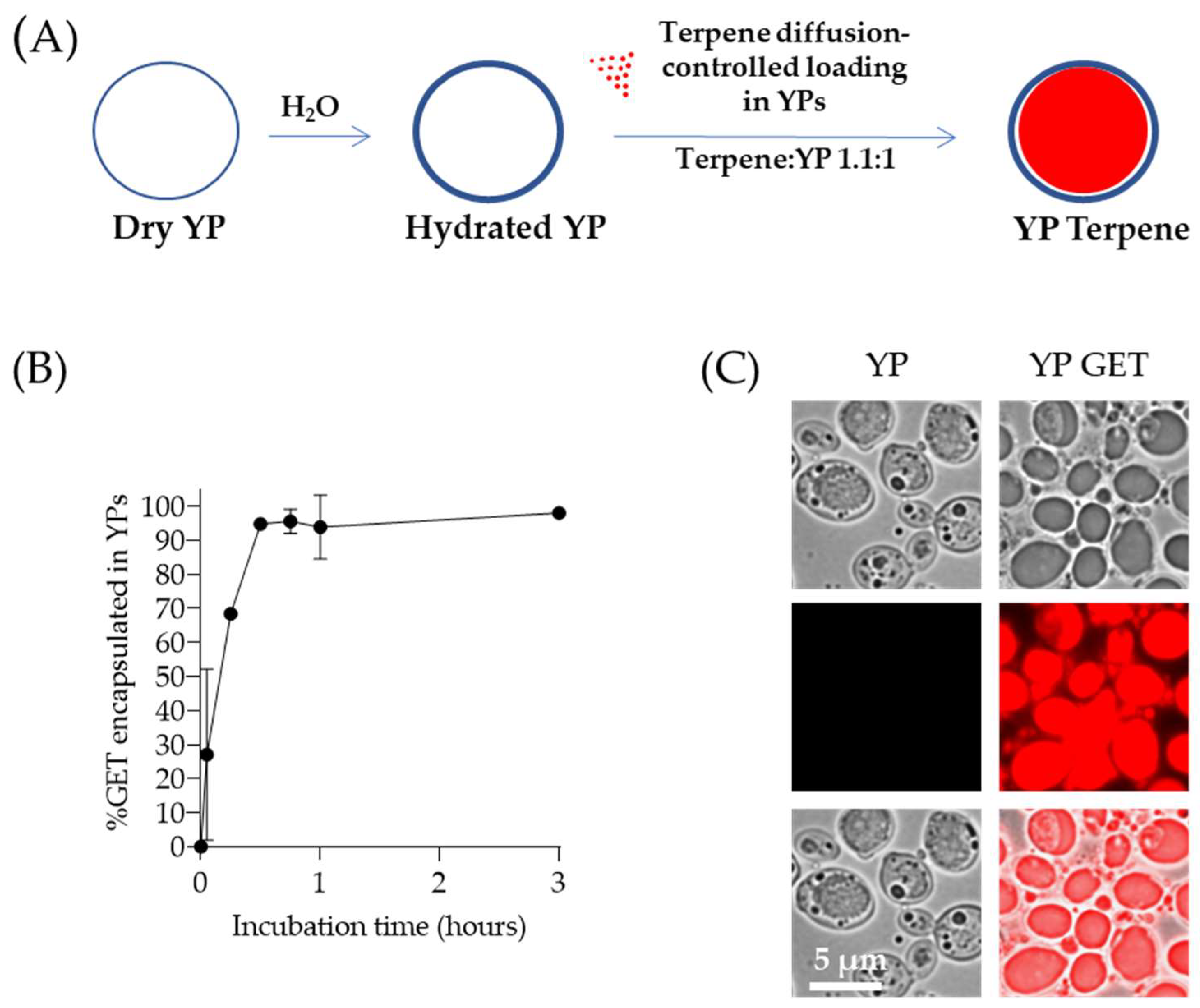 Molecules 28 02273 g001 Molecules 28 02273 g001