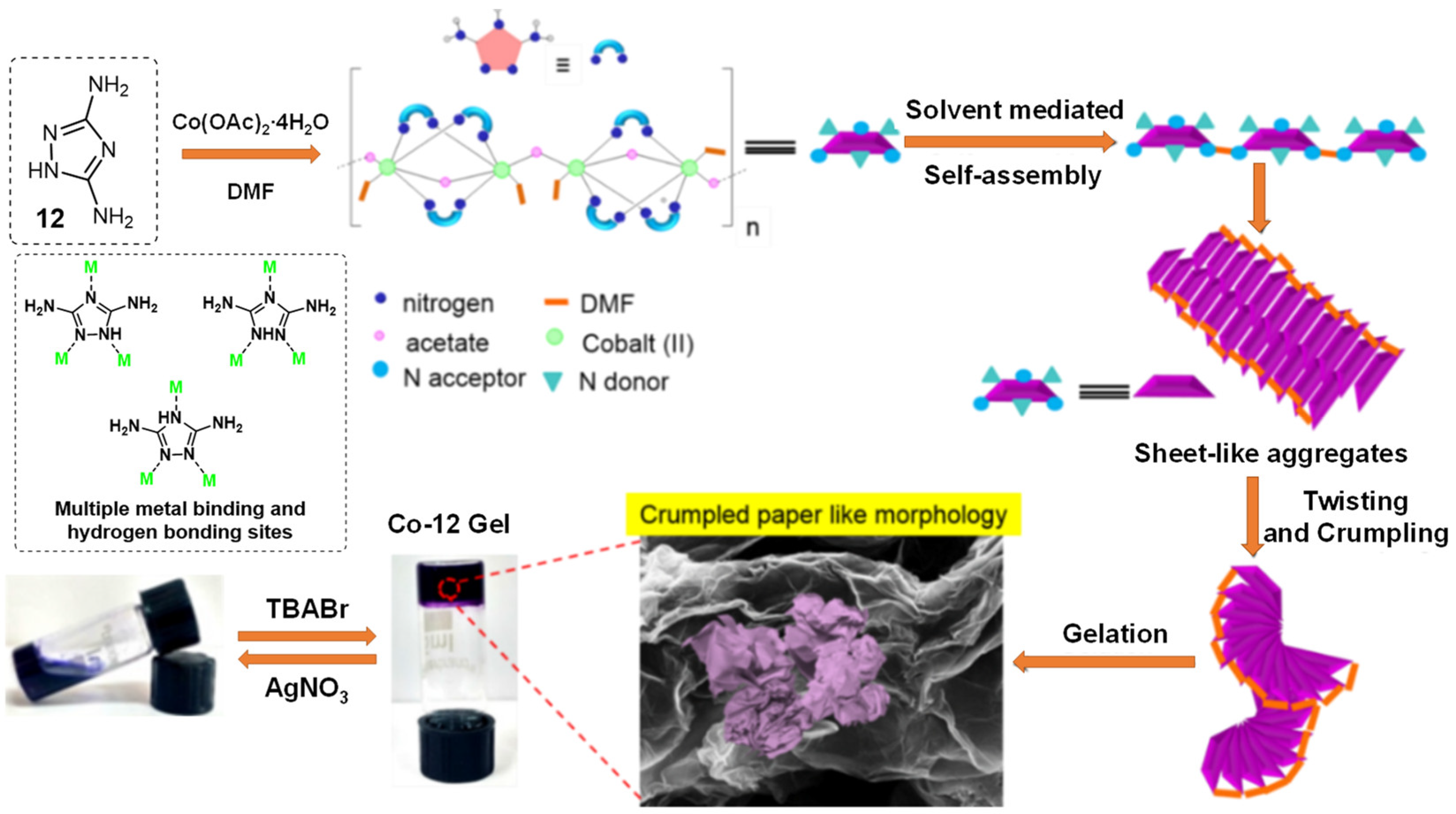 Molecules 28 02274 g003 Molecules 28 02274 g003