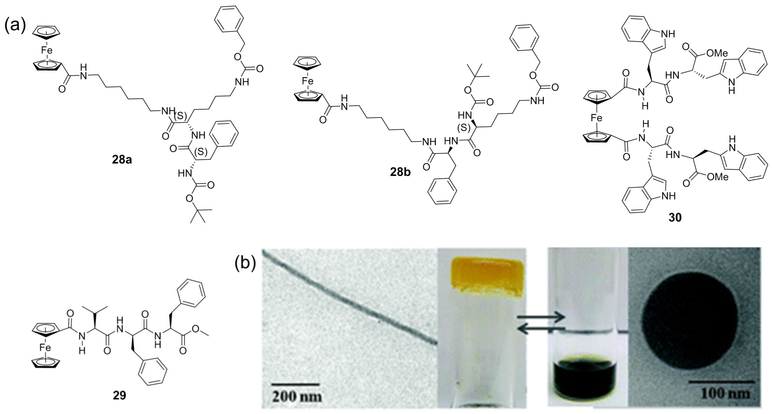 Molecules 28 02274 g010 Molecules 28 02274 g010