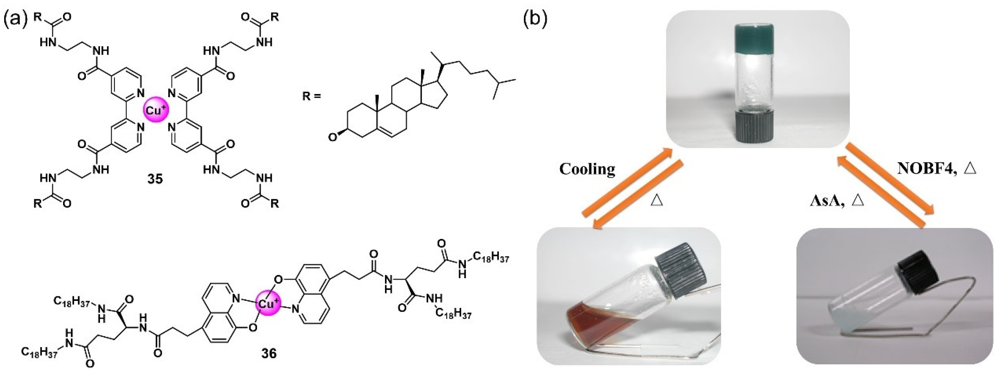 Molecules 28 02274 g014 Molecules 28 02274 g014