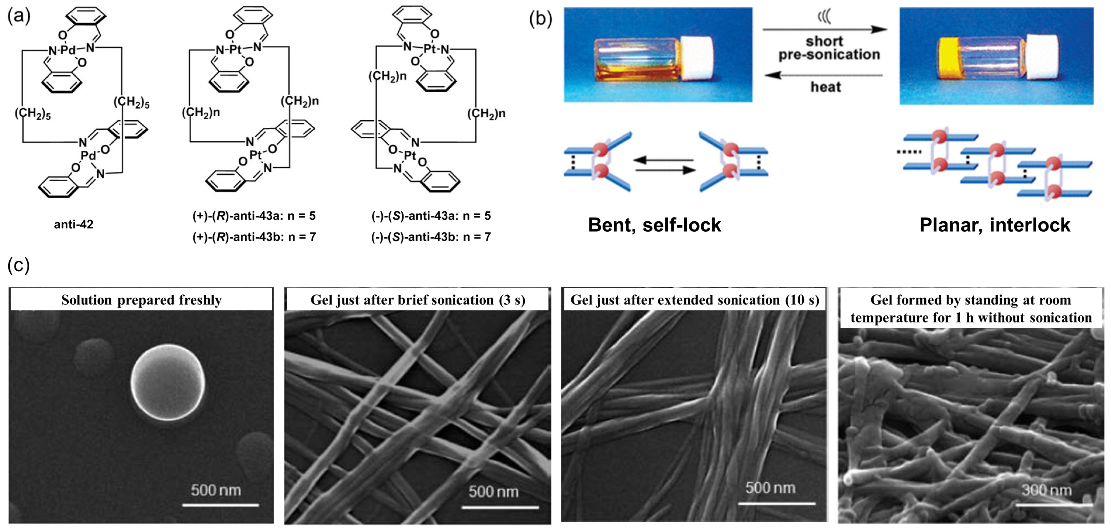 Molecules 28 02274 g018 Molecules 28 02274 g018