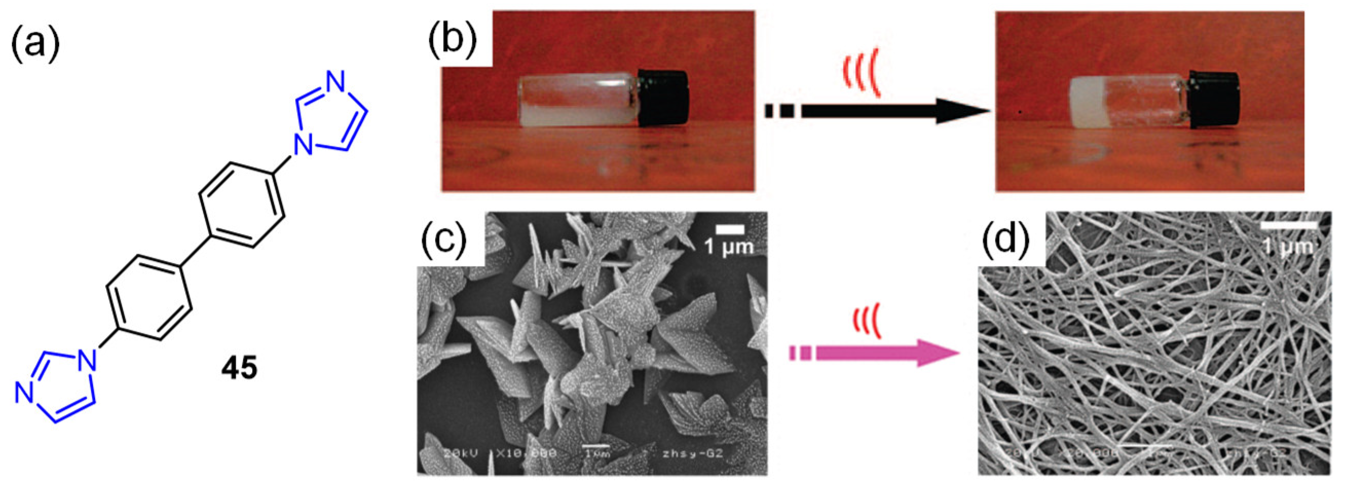 Molecules 28 02274 g020 Molecules 28 02274 g020