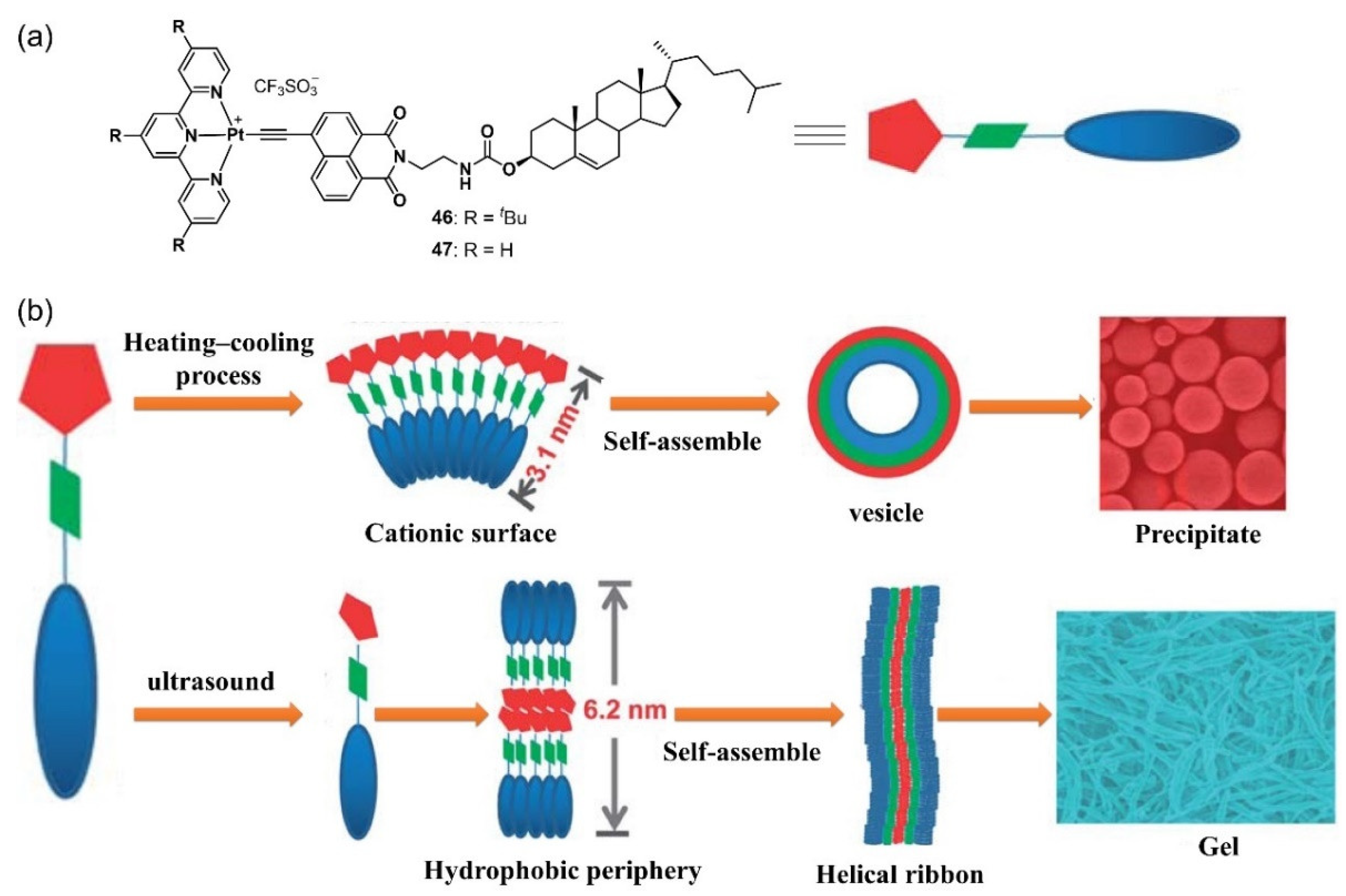 Molecules 28 02274 g021 Molecules 28 02274 g021