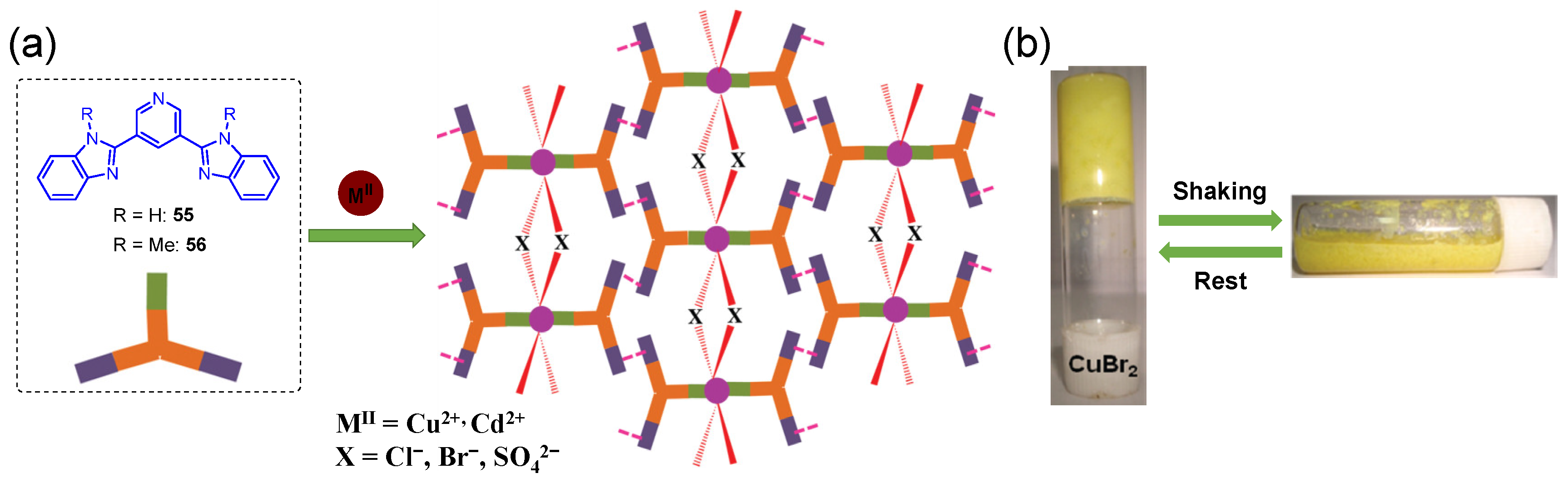 Molecules 28 02274 g025 Molecules 28 02274 g025