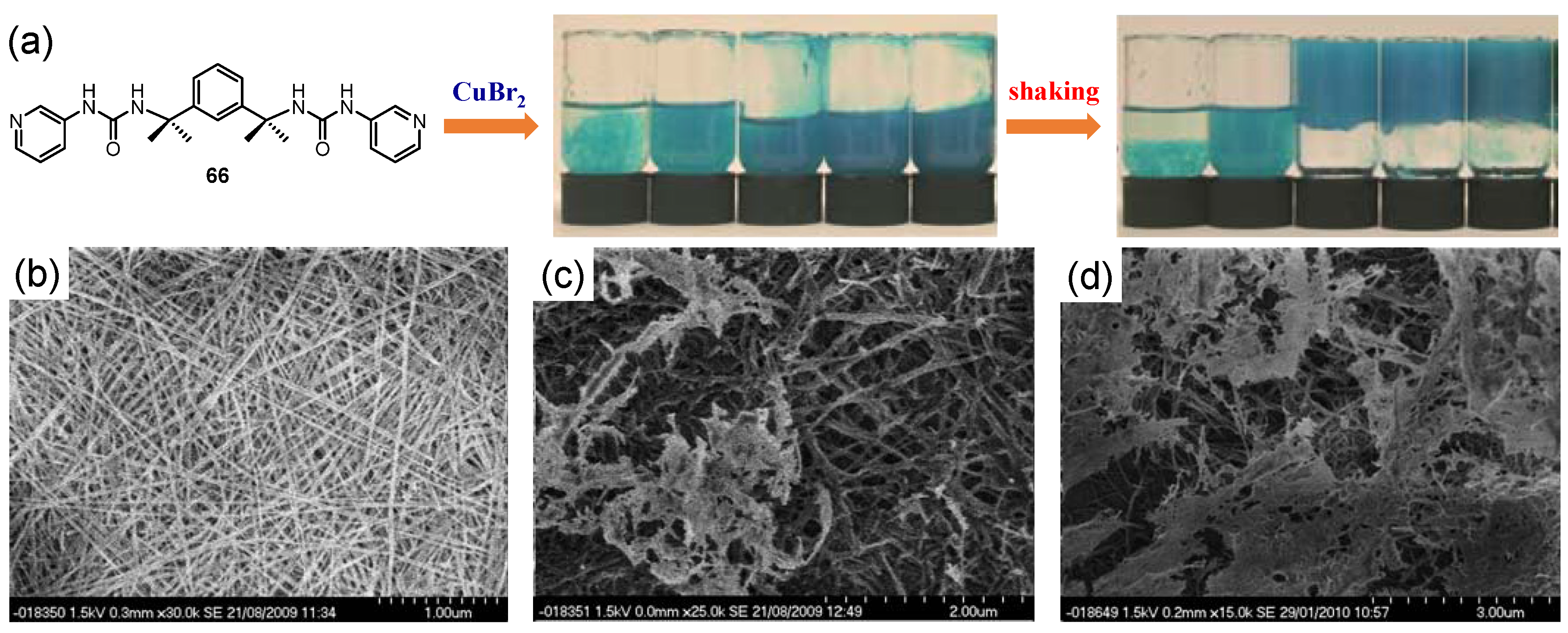 Molecules 28 02274 g027 Molecules 28 02274 g027
