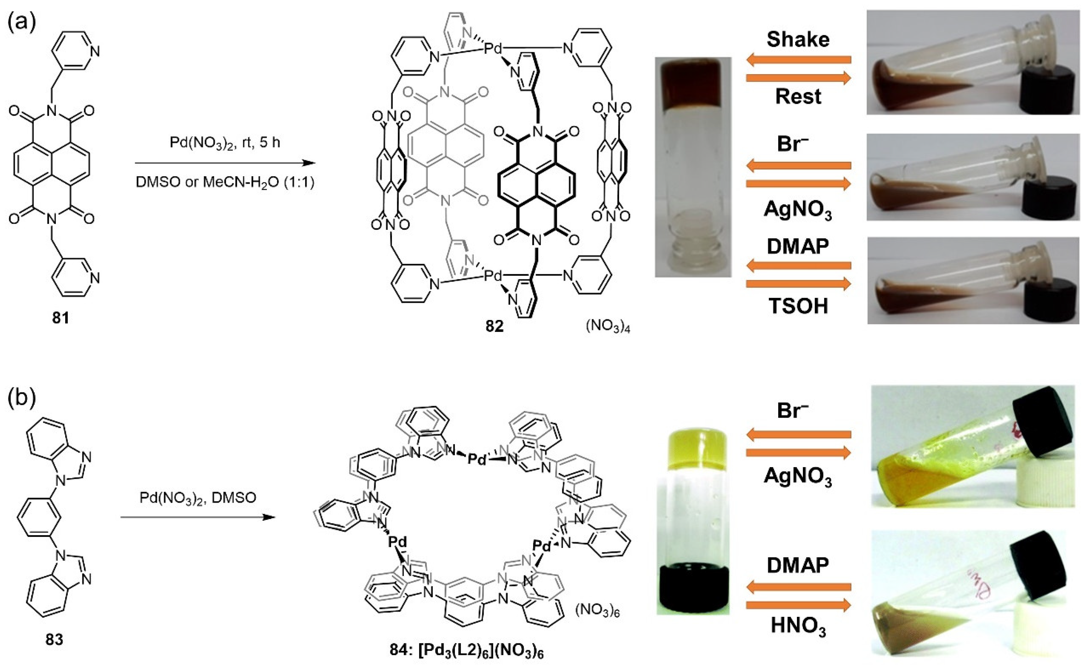 Molecules 28 02274 g033 Molecules 28 02274 g033