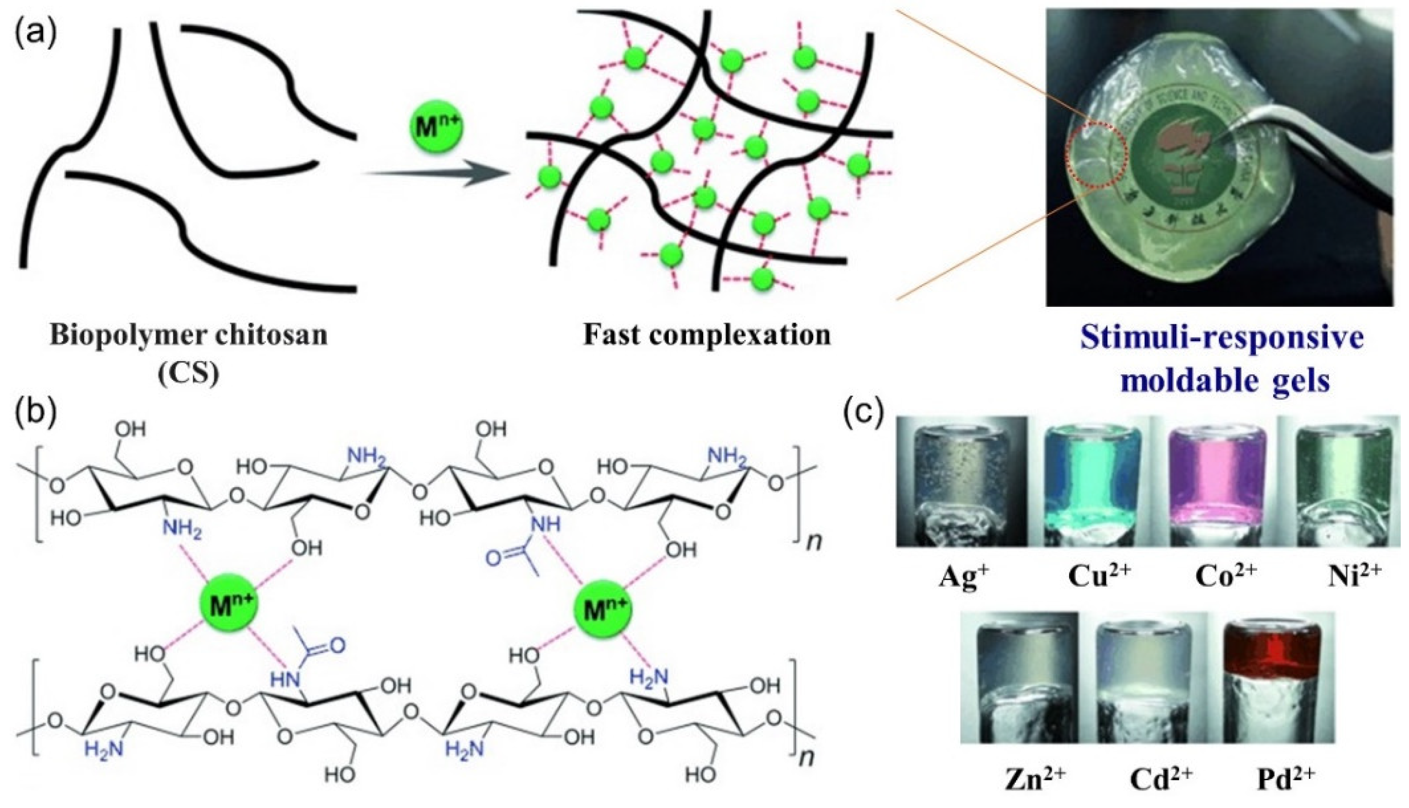 Molecules 28 02274 g046 Molecules 28 02274 g046