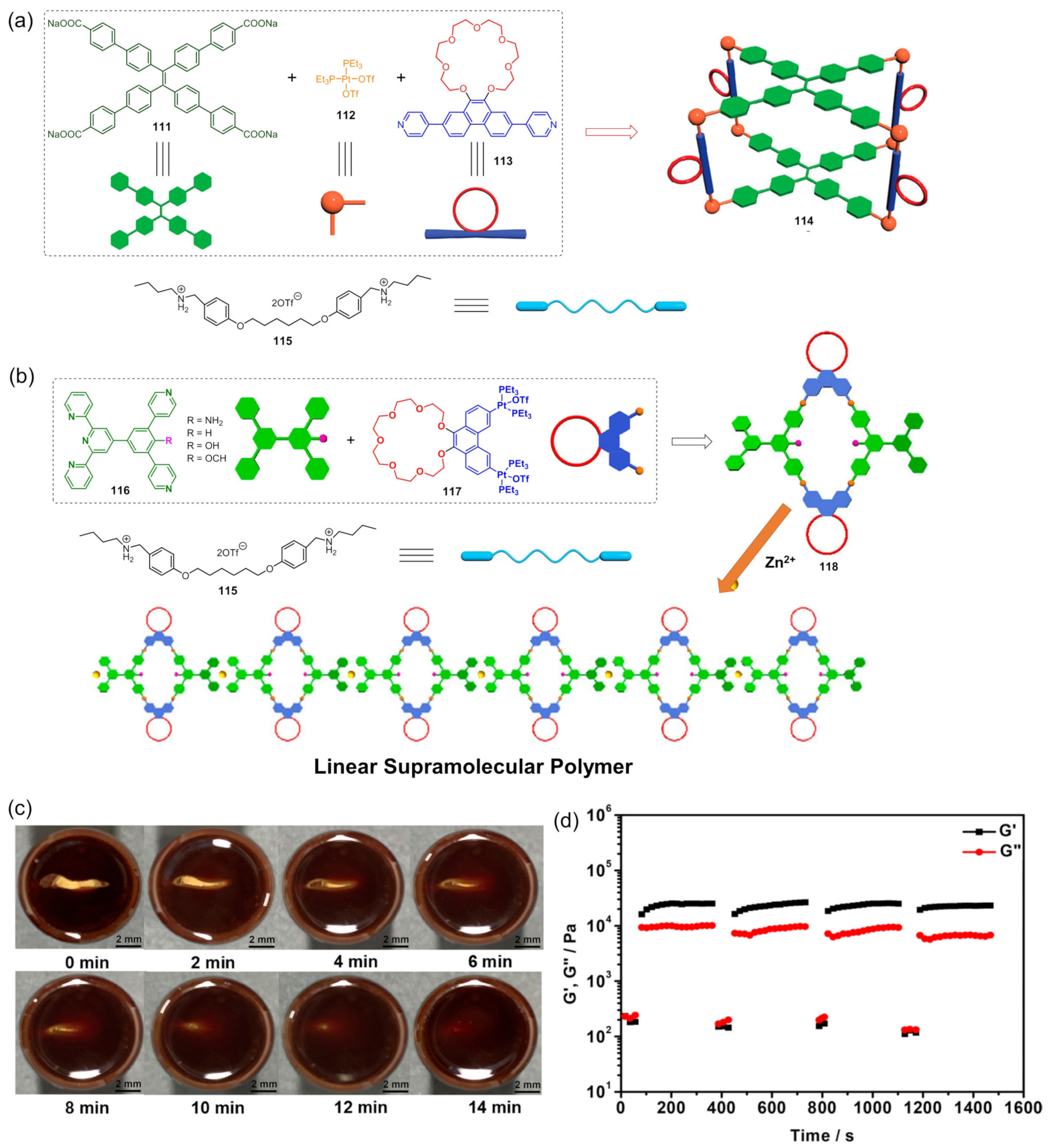 Molecules 28 02274 g049 Molecules 28 02274 g049