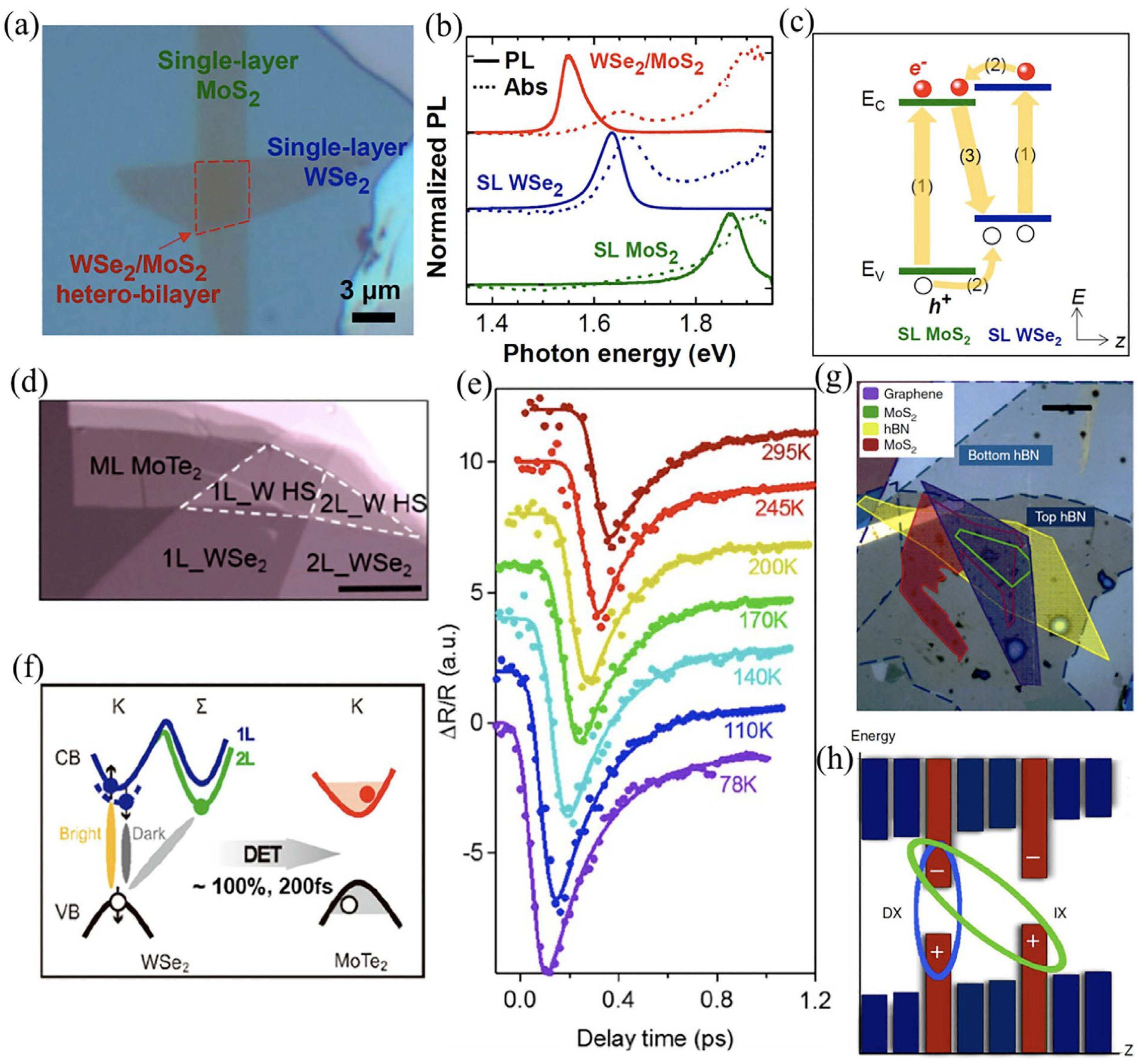 Molecules 28 02275 g004 Molecules 28 02275 g004