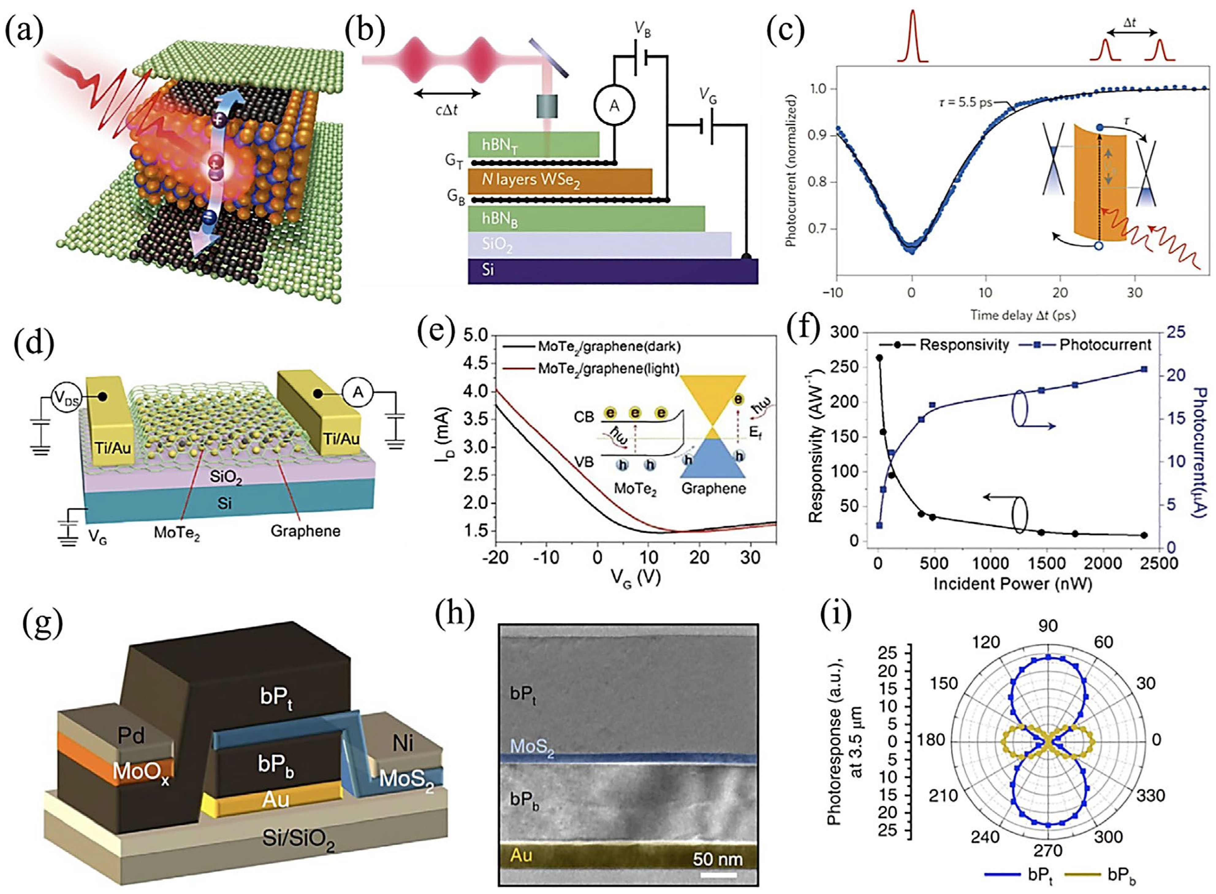 Molecules 28 02275 g009 Molecules 28 02275 g009