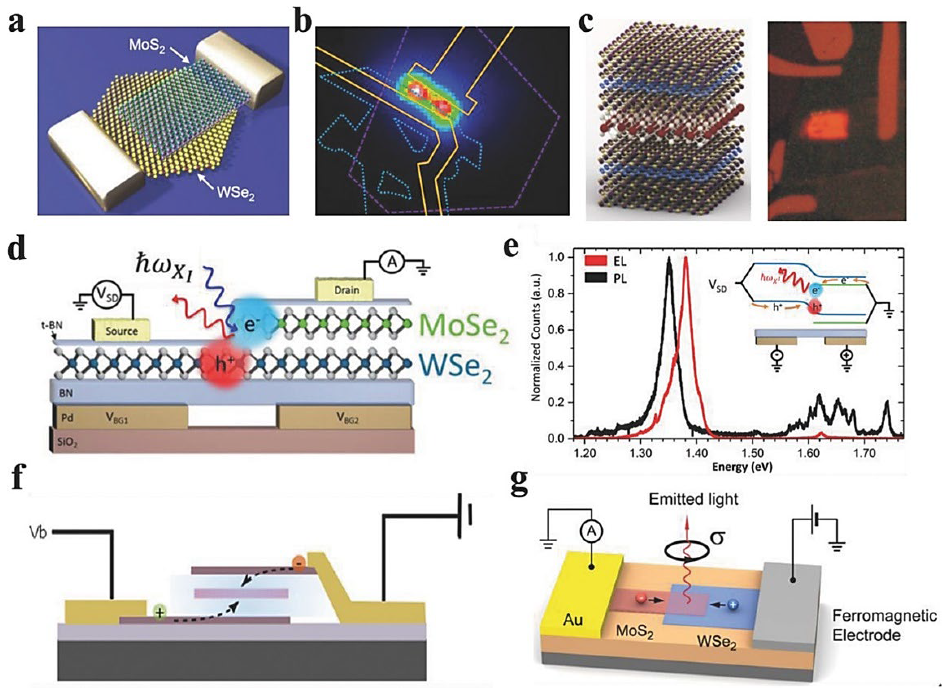 Molecules 28 02275 g011 Molecules 28 02275 g011