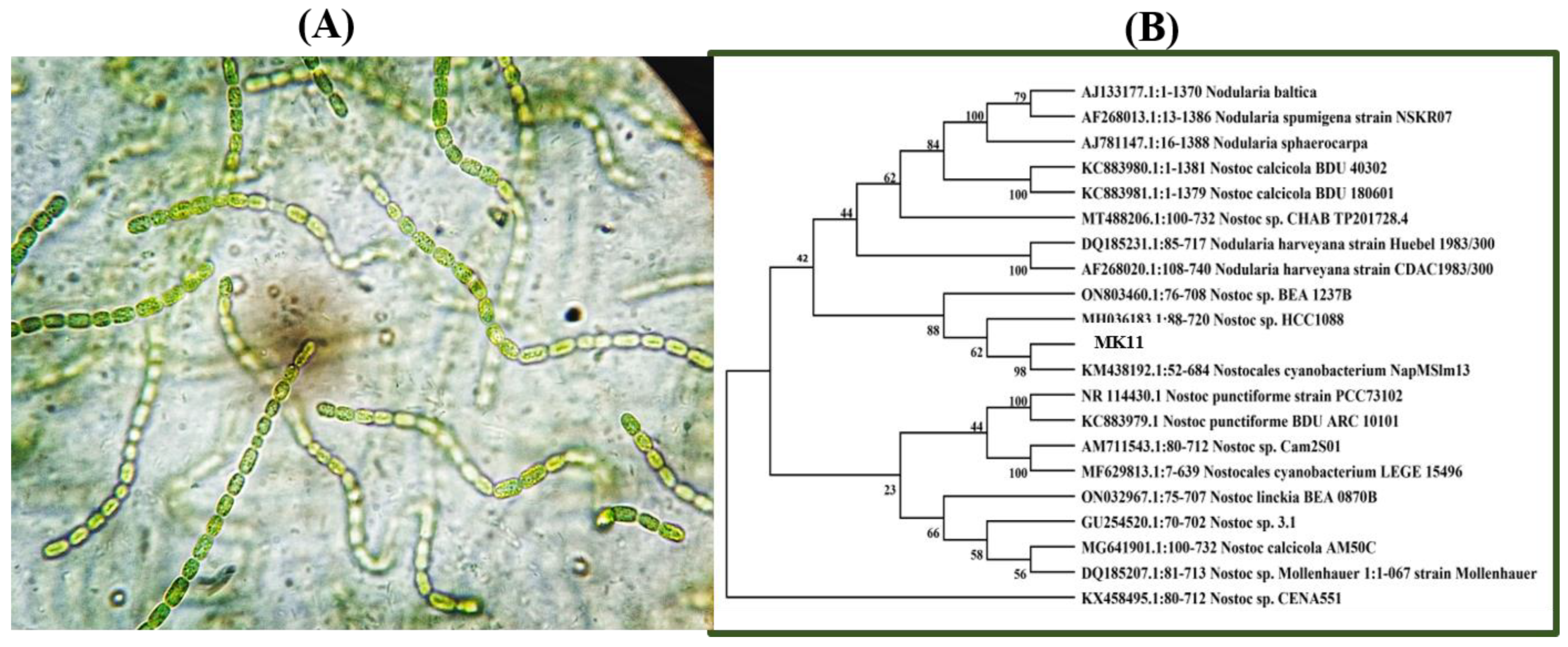 Molecules 28 02292 g001 Molecules 28 02292 g001