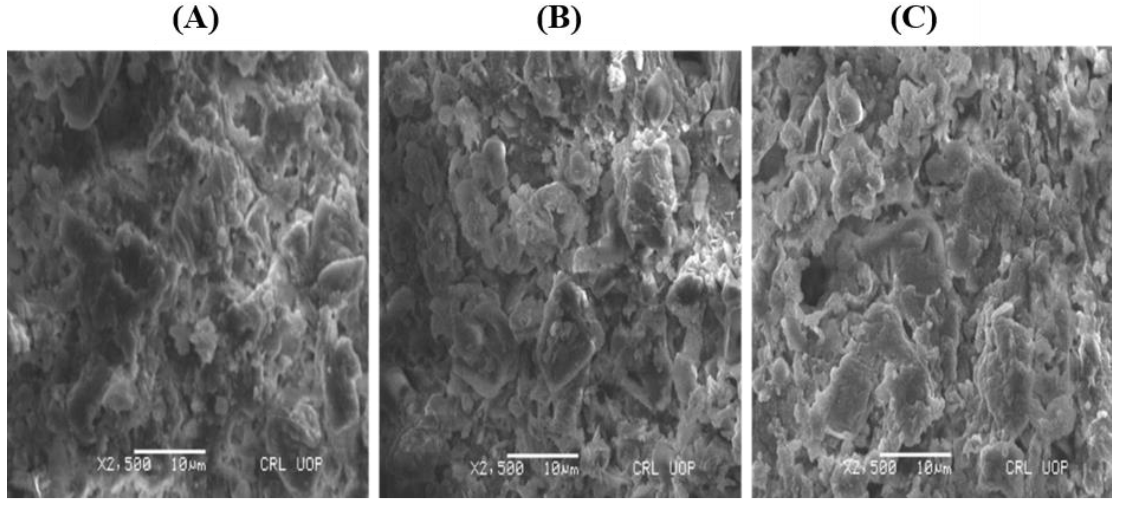 Molecules 28 02292 g003 Molecules 28 02292 g003