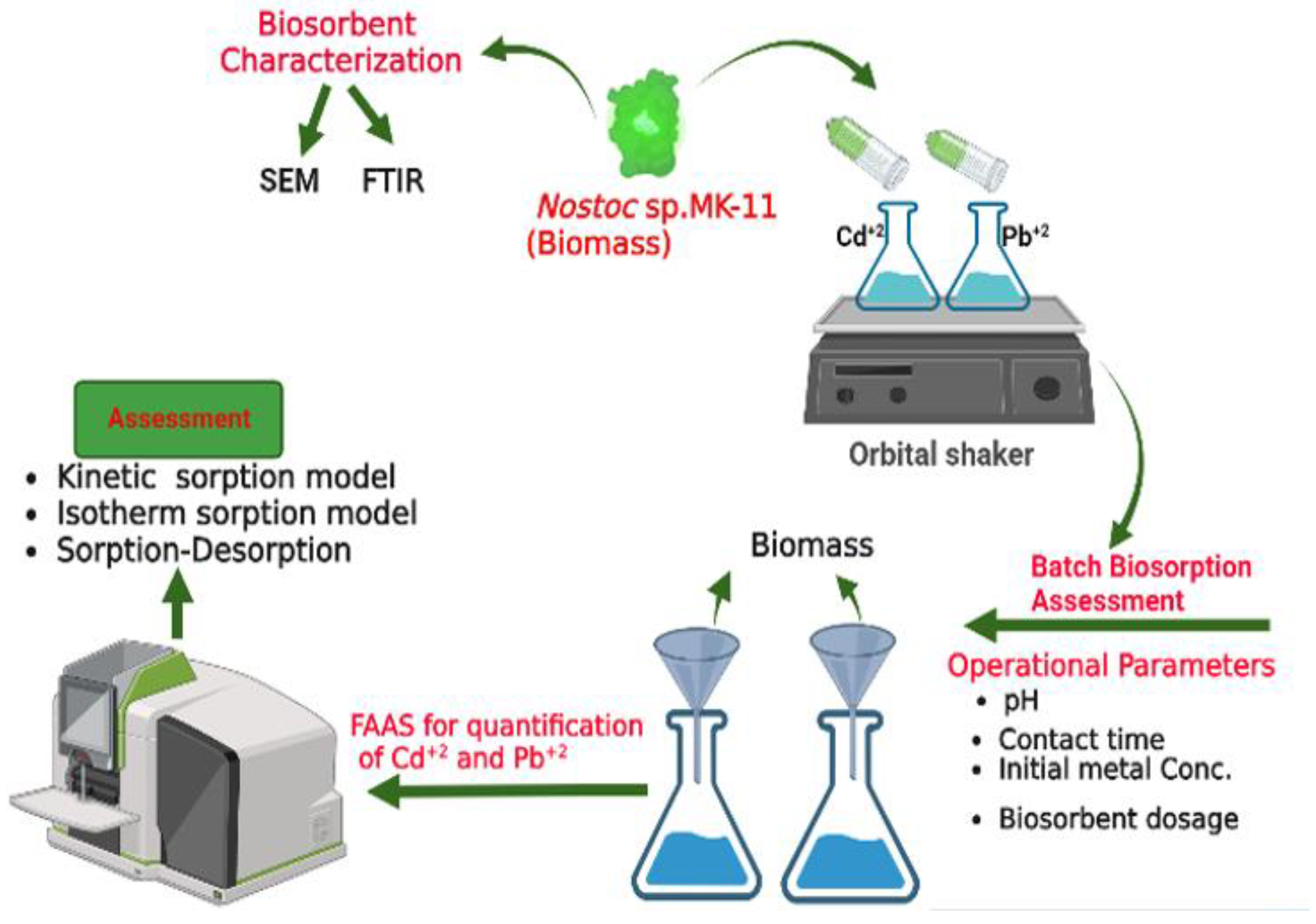 Molecules 28 02292 g007 Molecules 28 02292 g007