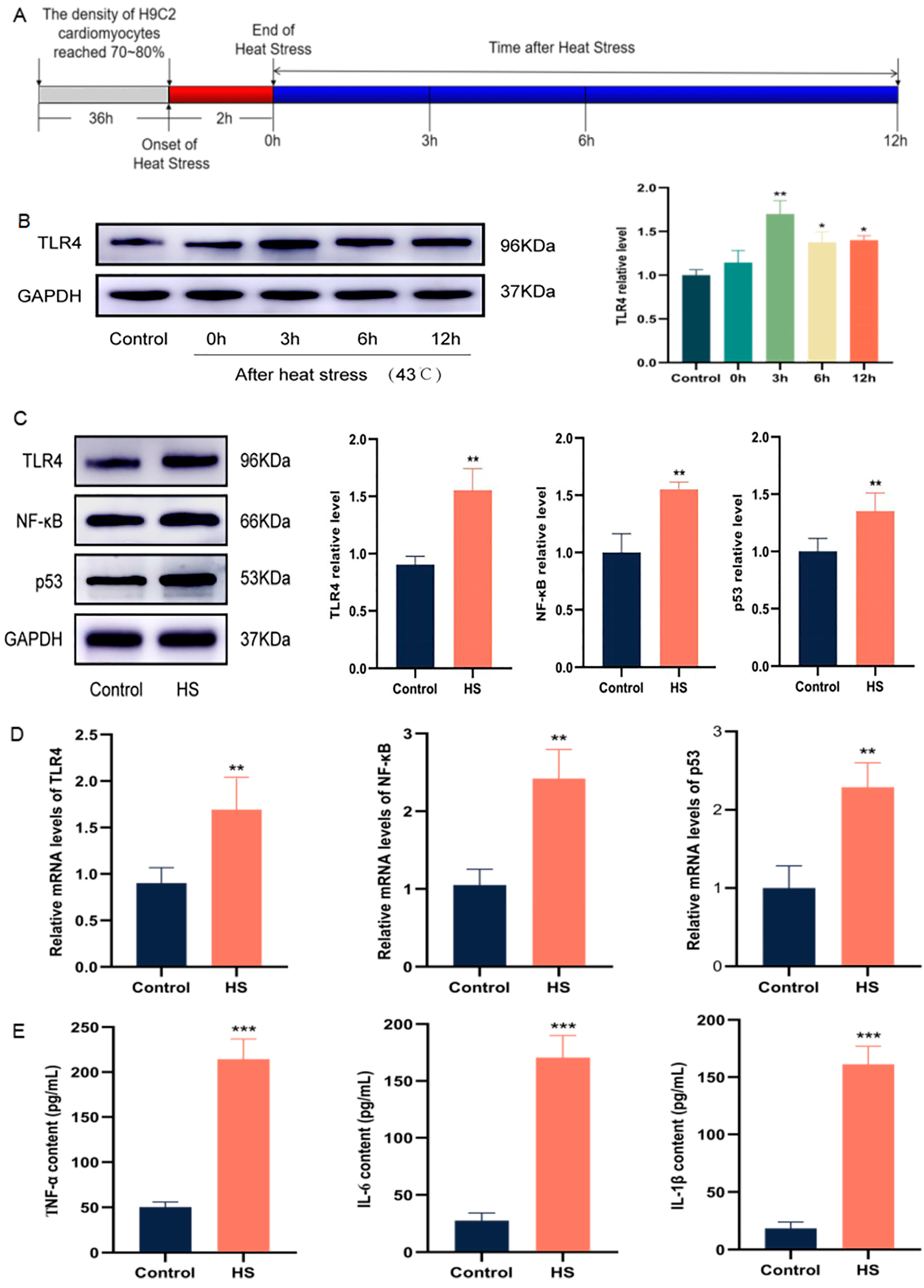 Molecules 28 02297 g002 Molecules 28 02297 g002