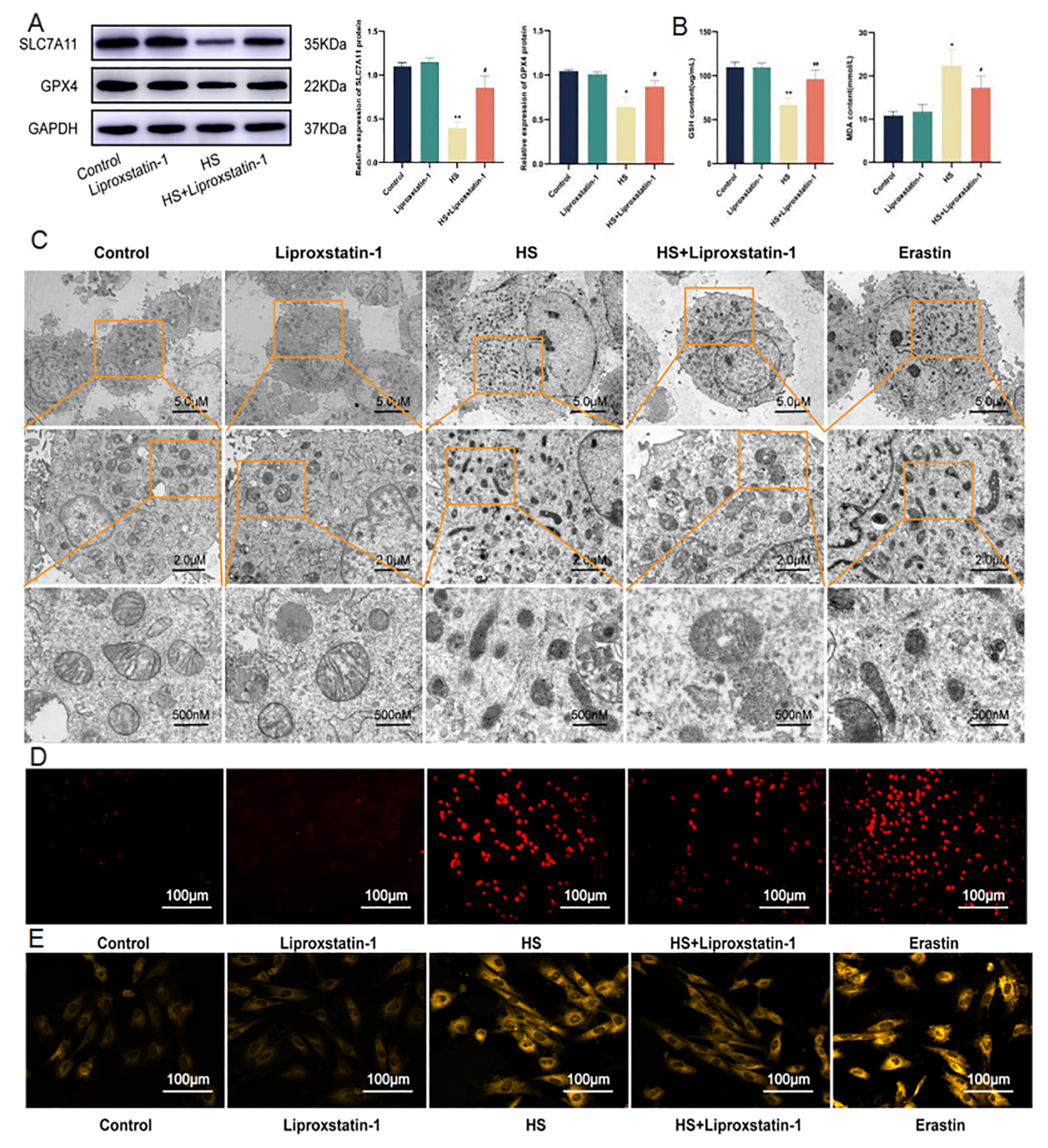 Molecules 28 02297 g003 Molecules 28 02297 g003