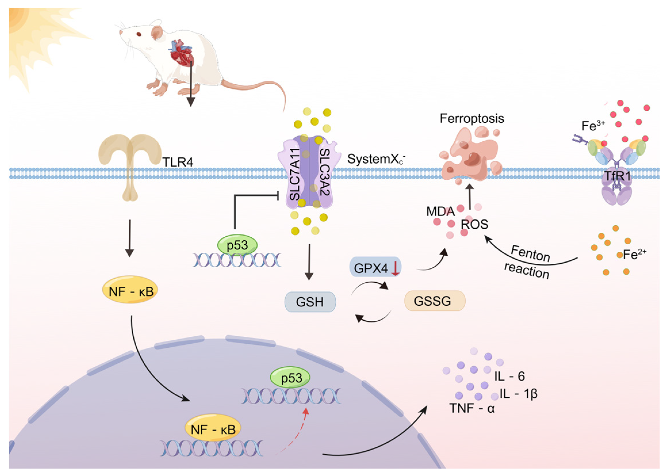 Molecules 28 02297 g008 Molecules 28 02297 g008