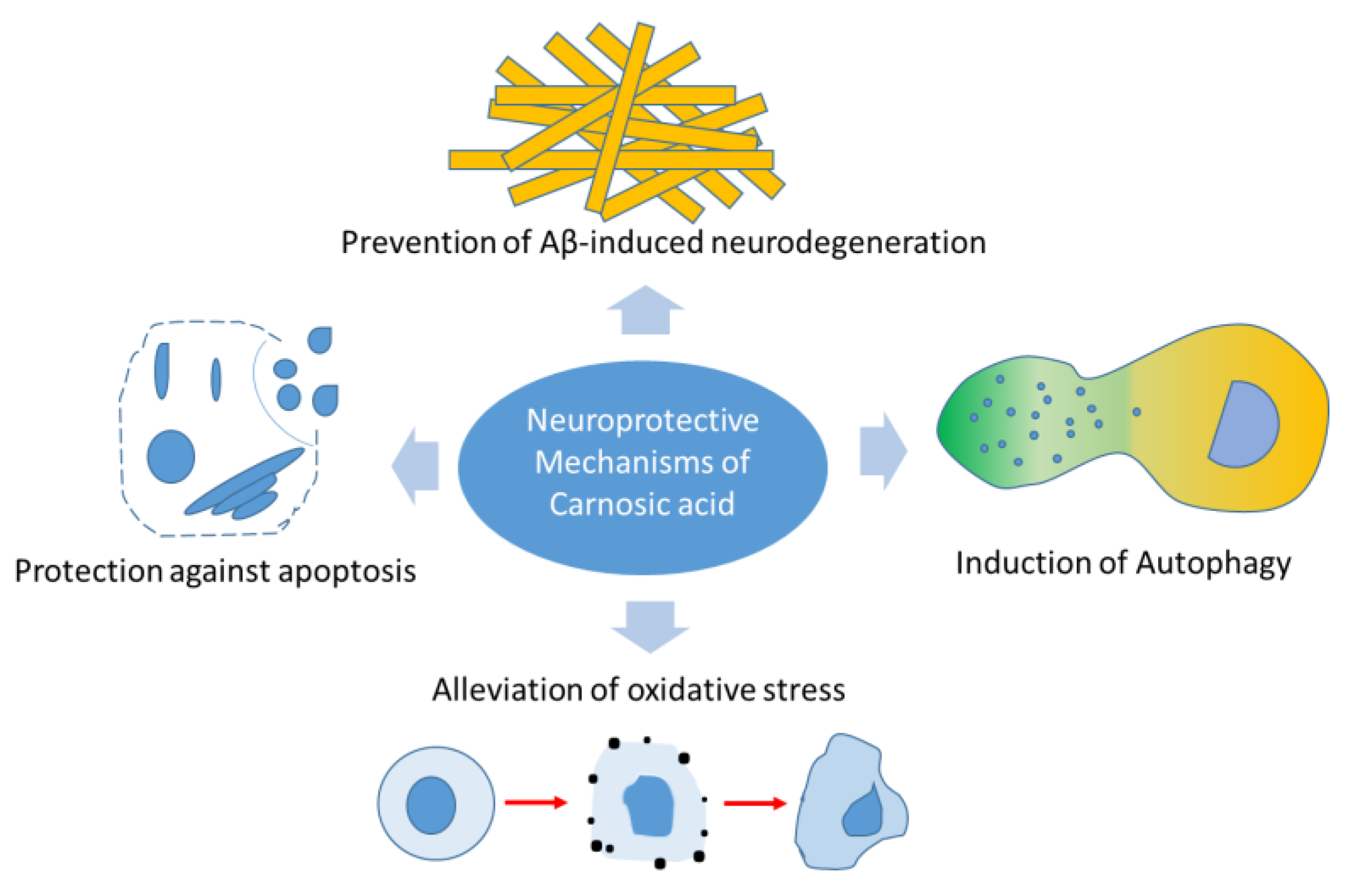 Molecules 28 02306 g002