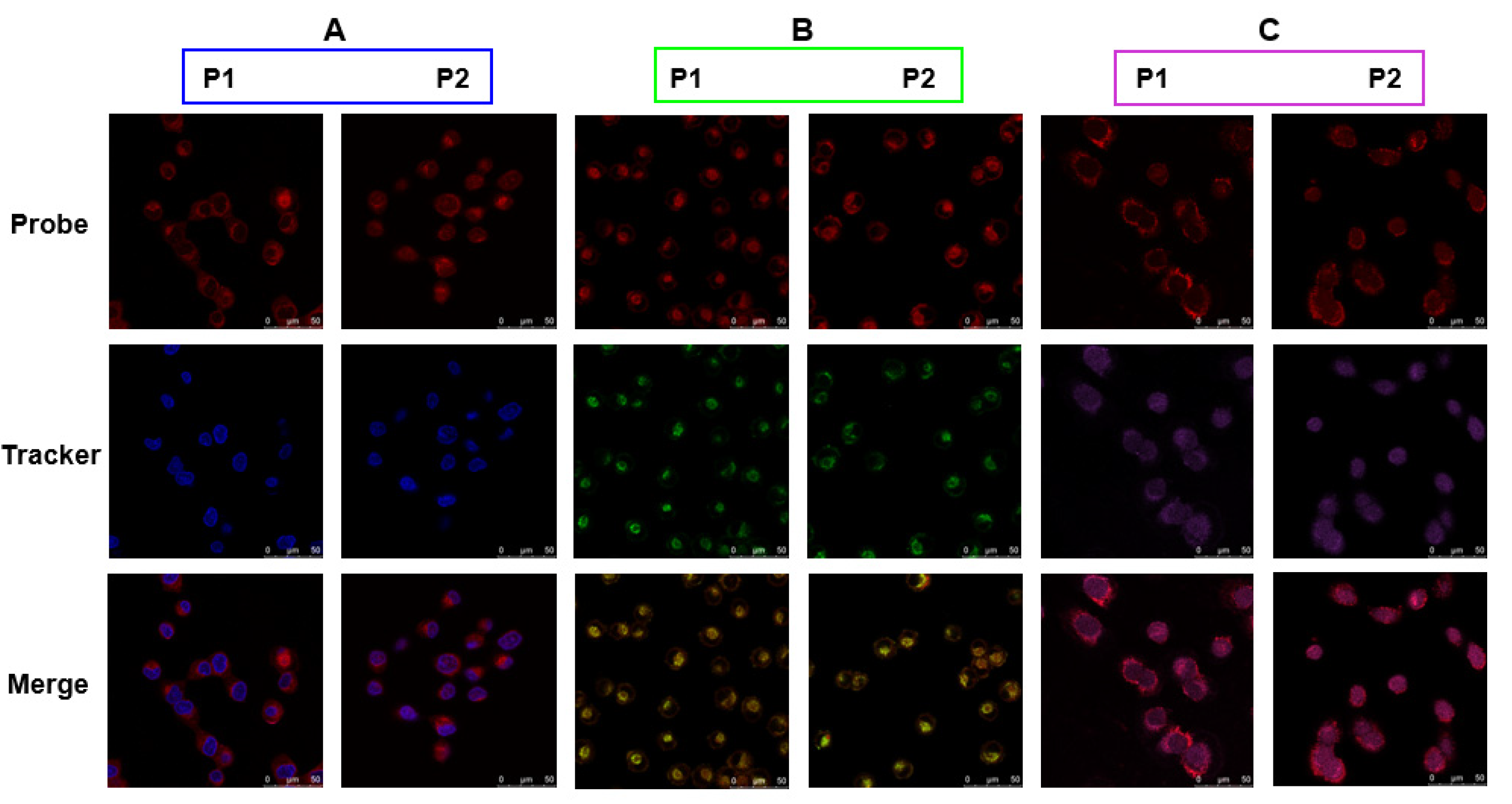Molecules 28 02309 g005