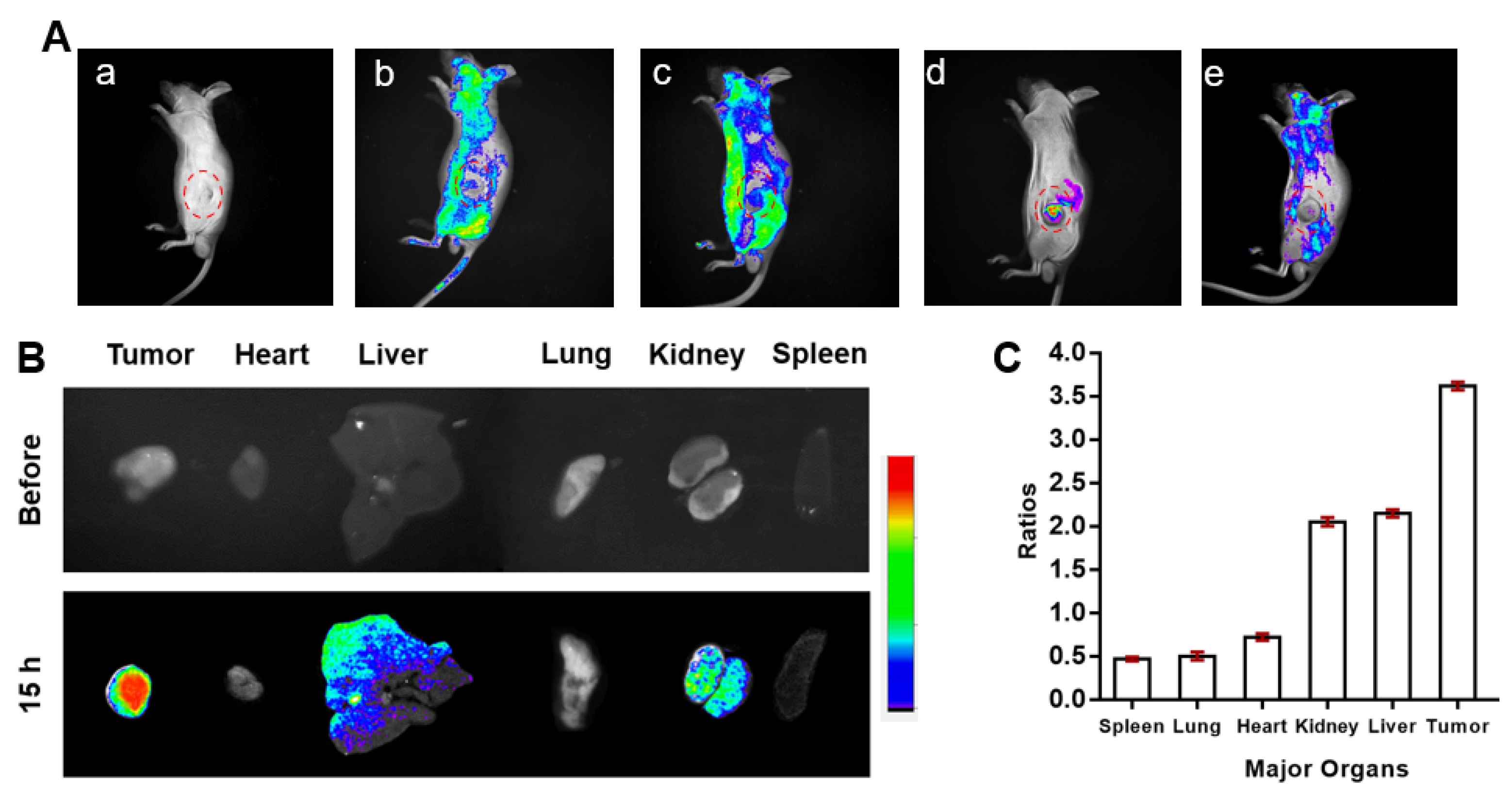 Molecules 28 02309 g006