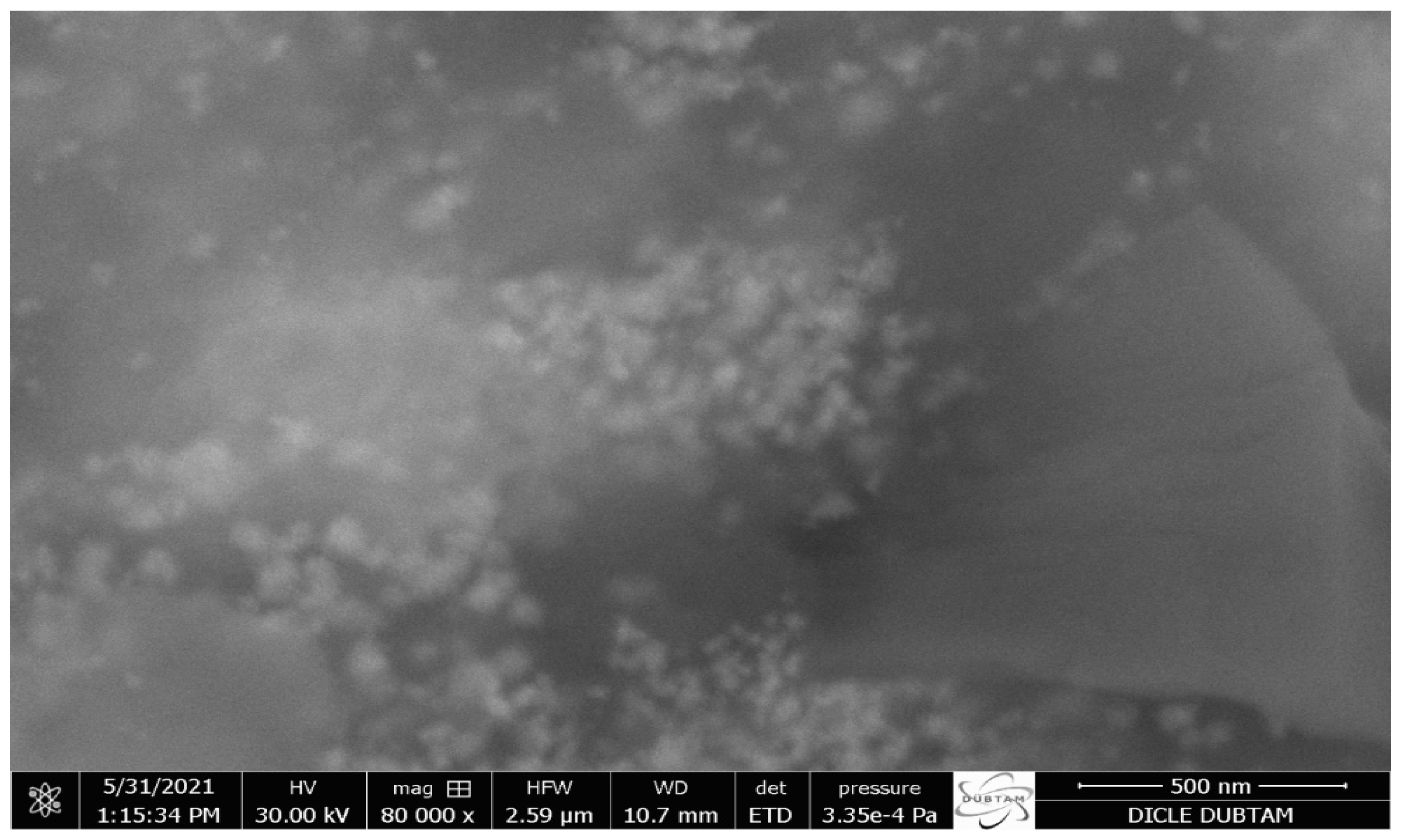 Molecules 28 02310 g002 Molecules 28 02310 g002