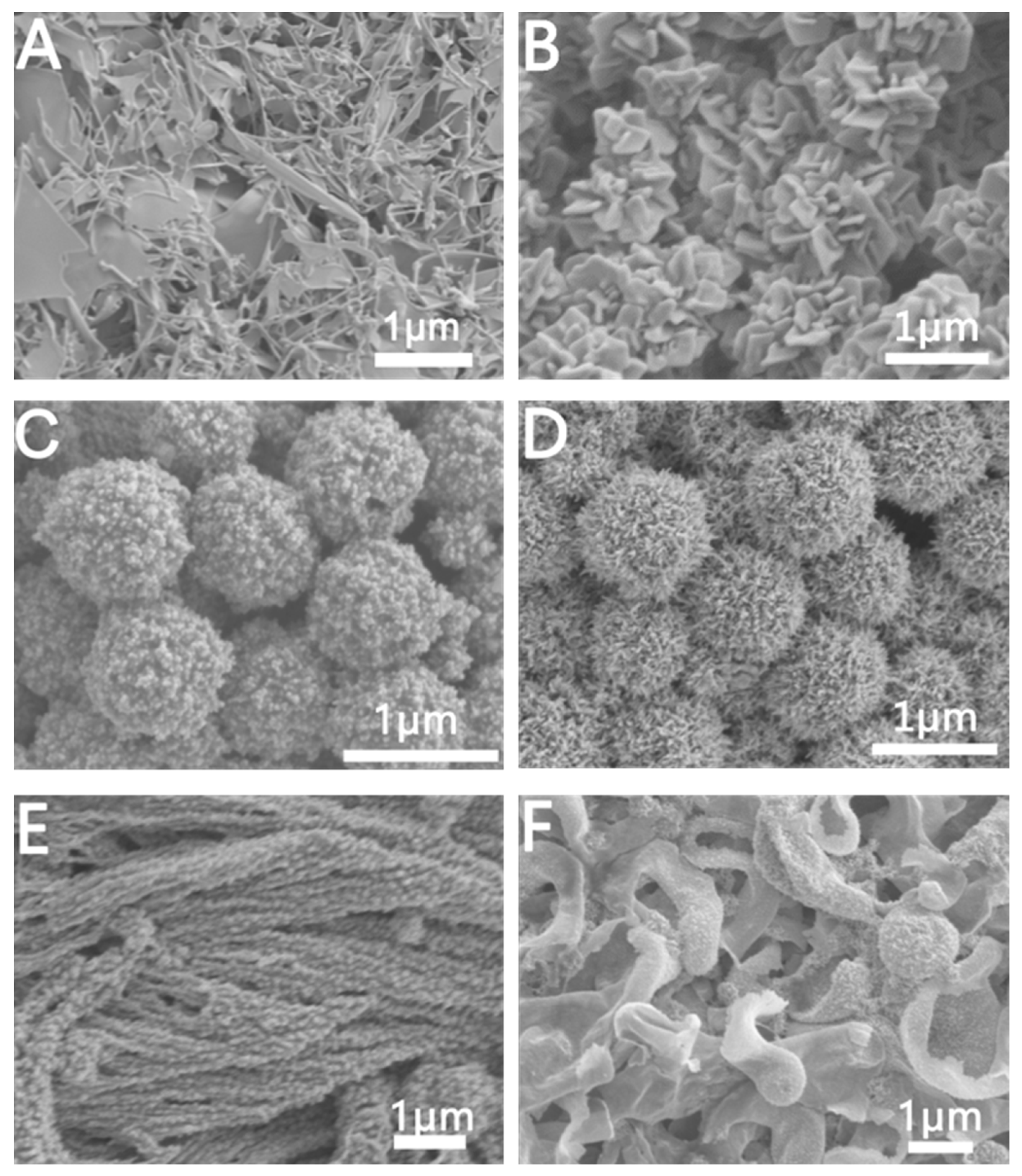 Molecules 28 02316 g005