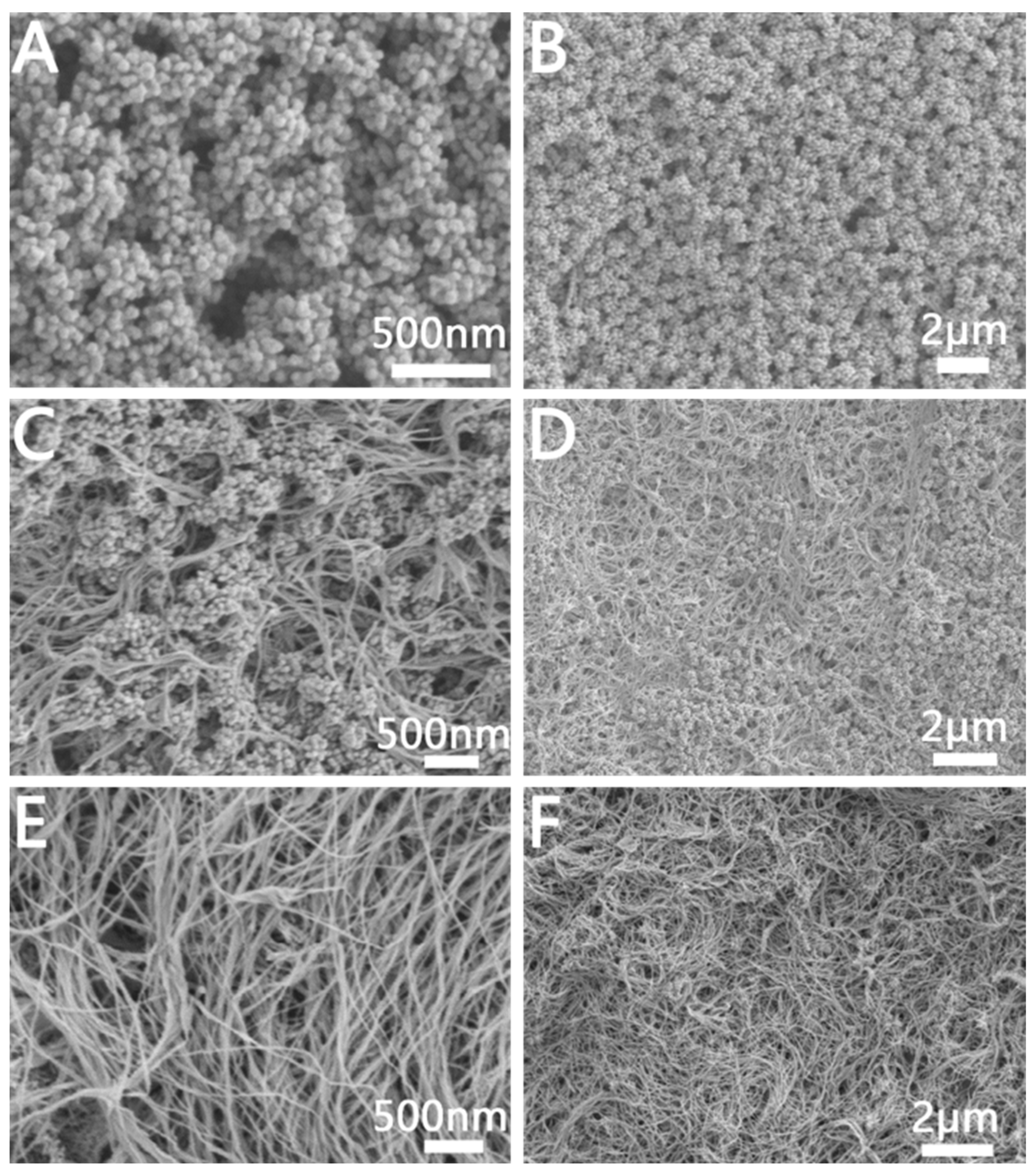 Molecules 28 02316 g006