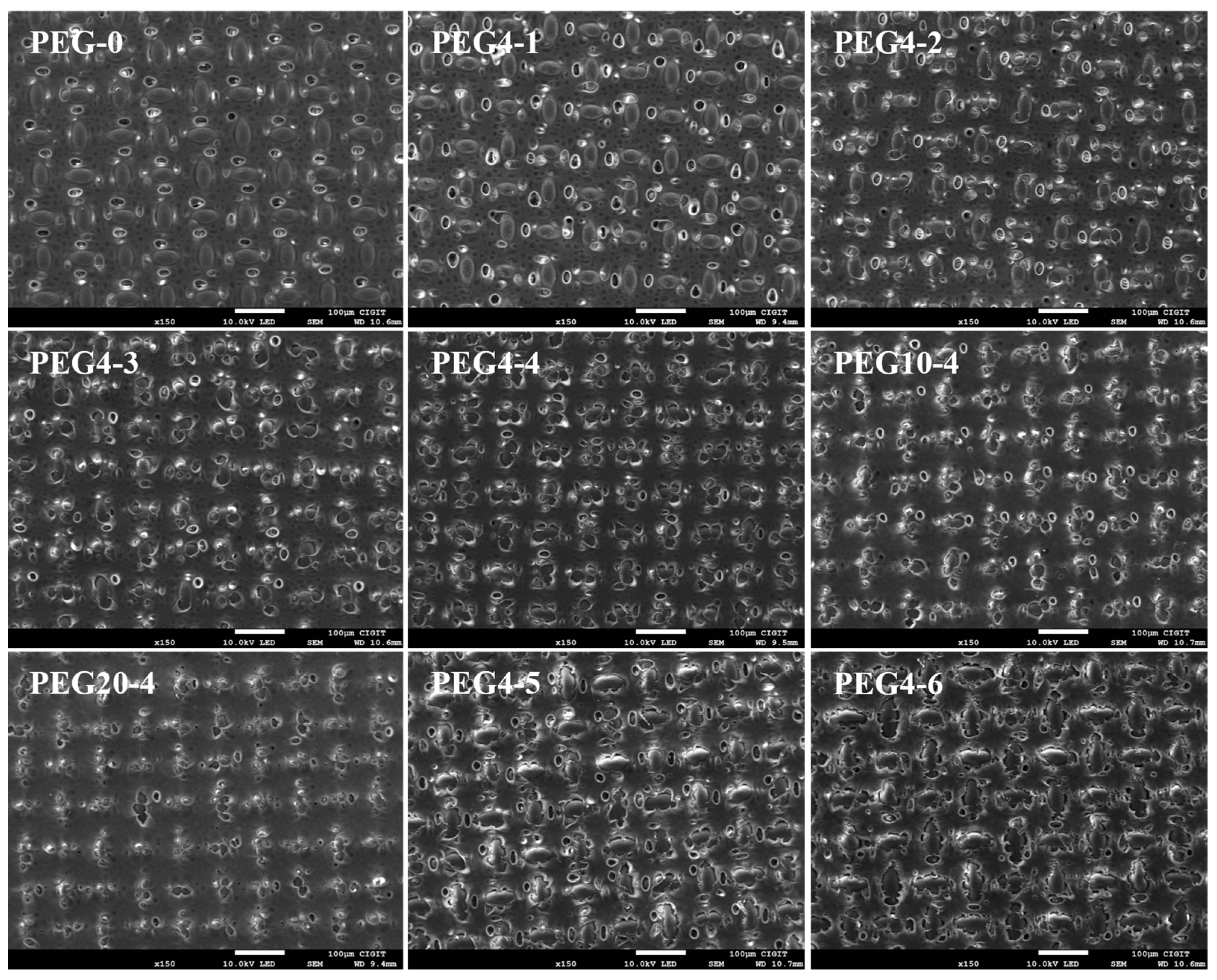 Molecules 28 02318 g004 Molecules 28 02318 g004