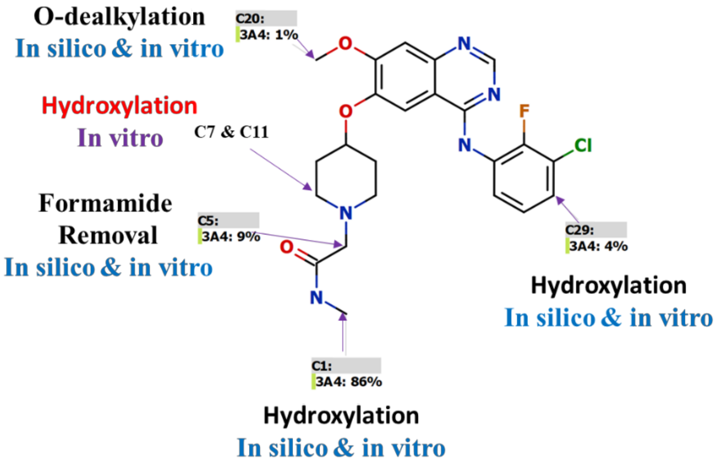 Molecules 28 02322 g006
