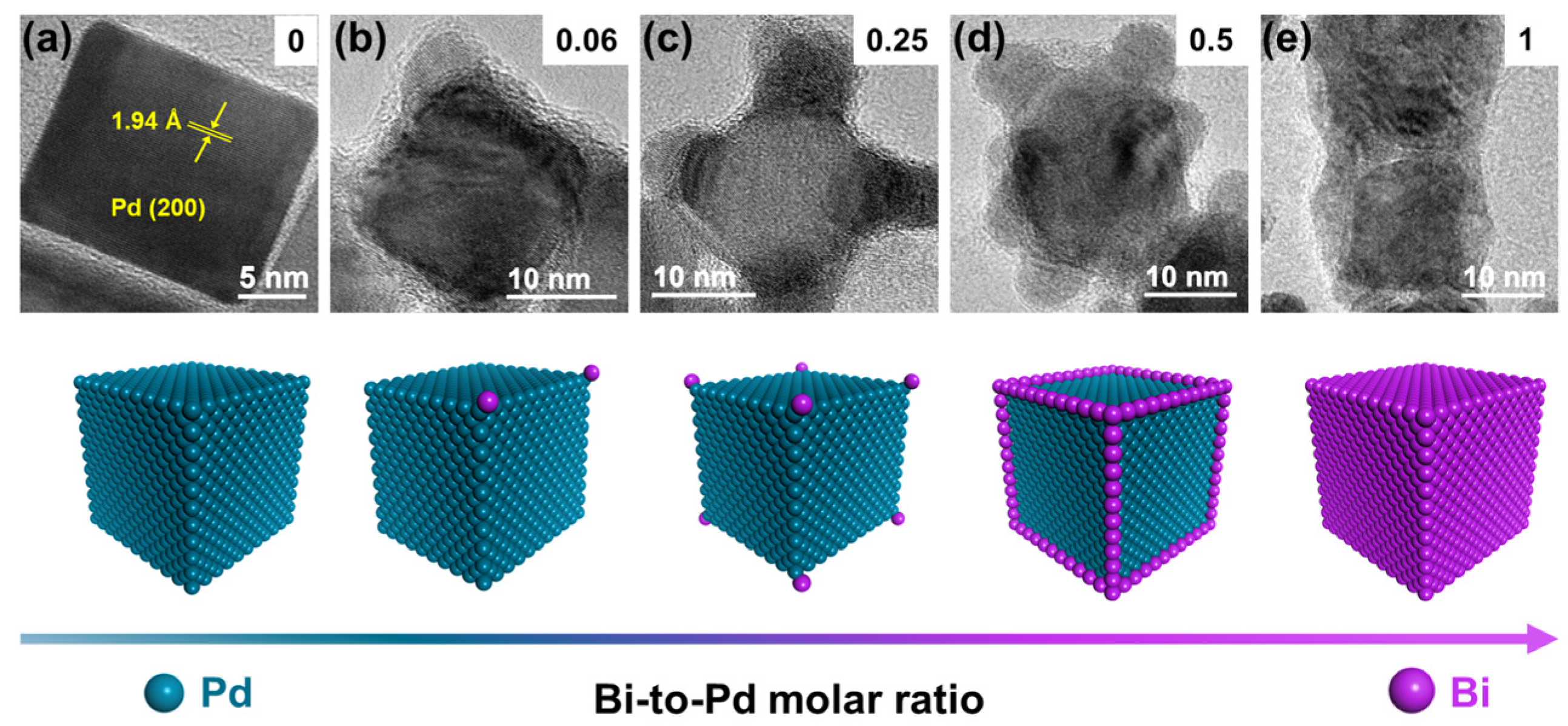 Molecules 28 02335 g001 Molecules 28 02335 g001