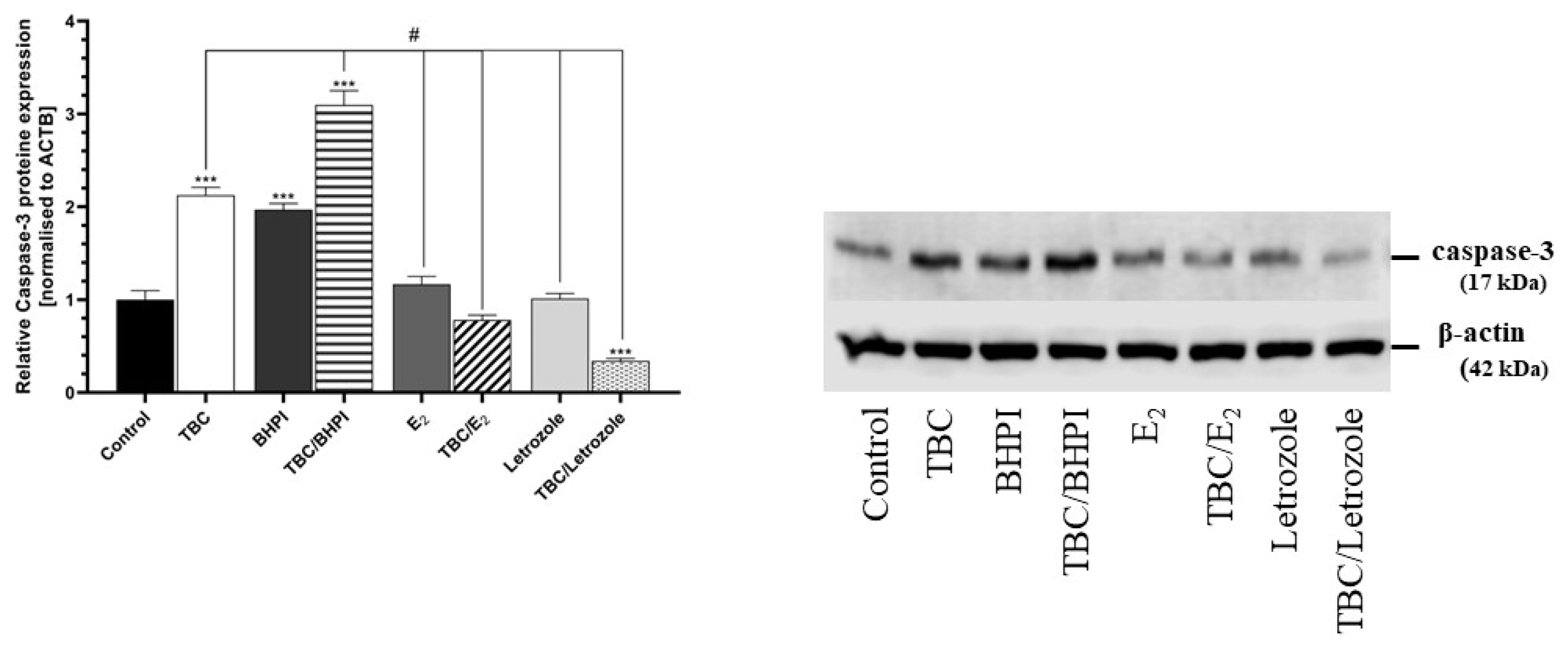 Molecules 28 02337 g004 Molecules 28 02337 g004