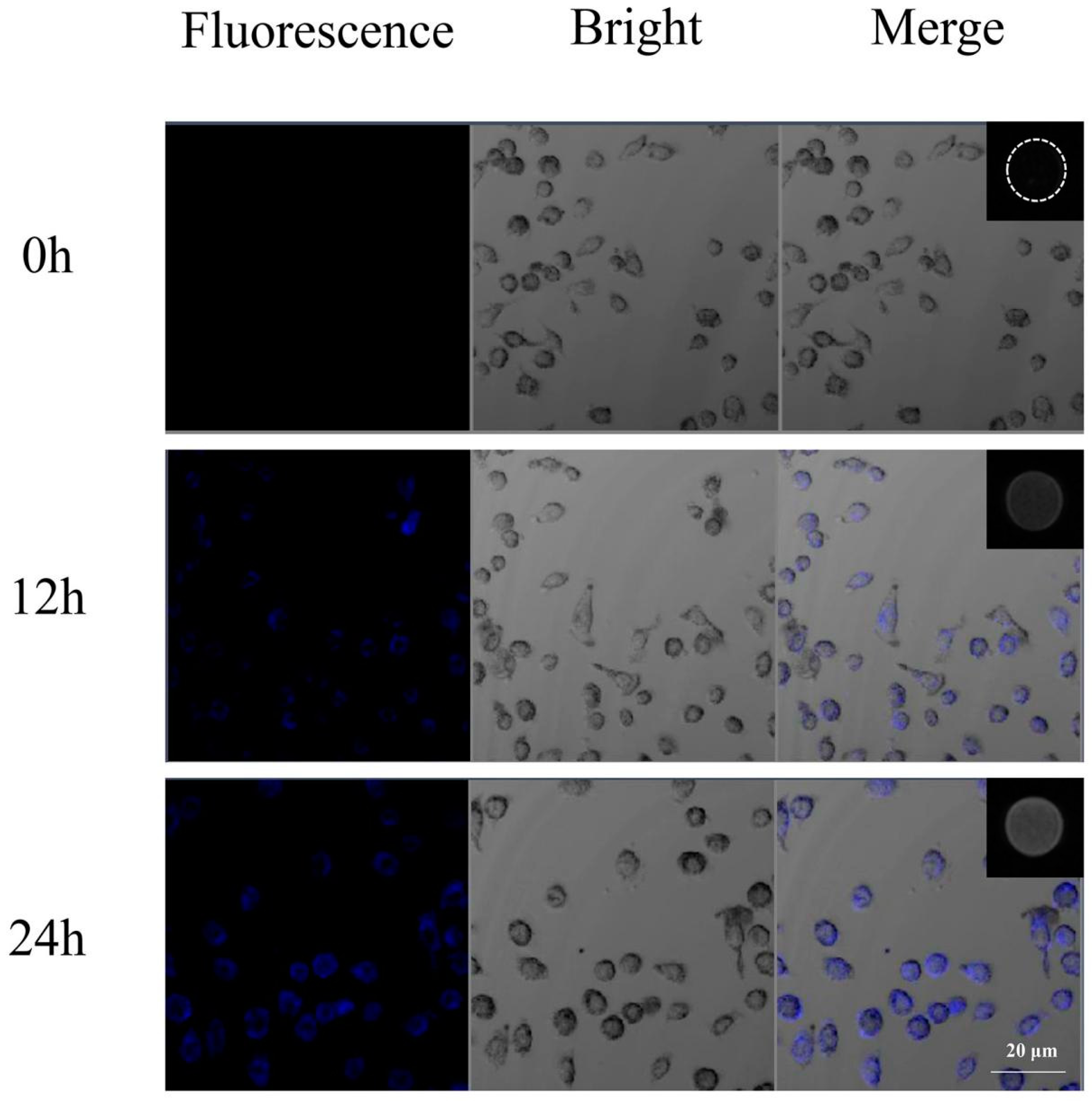 Molecules 28 02363 g006 Molecules 28 02363 g006