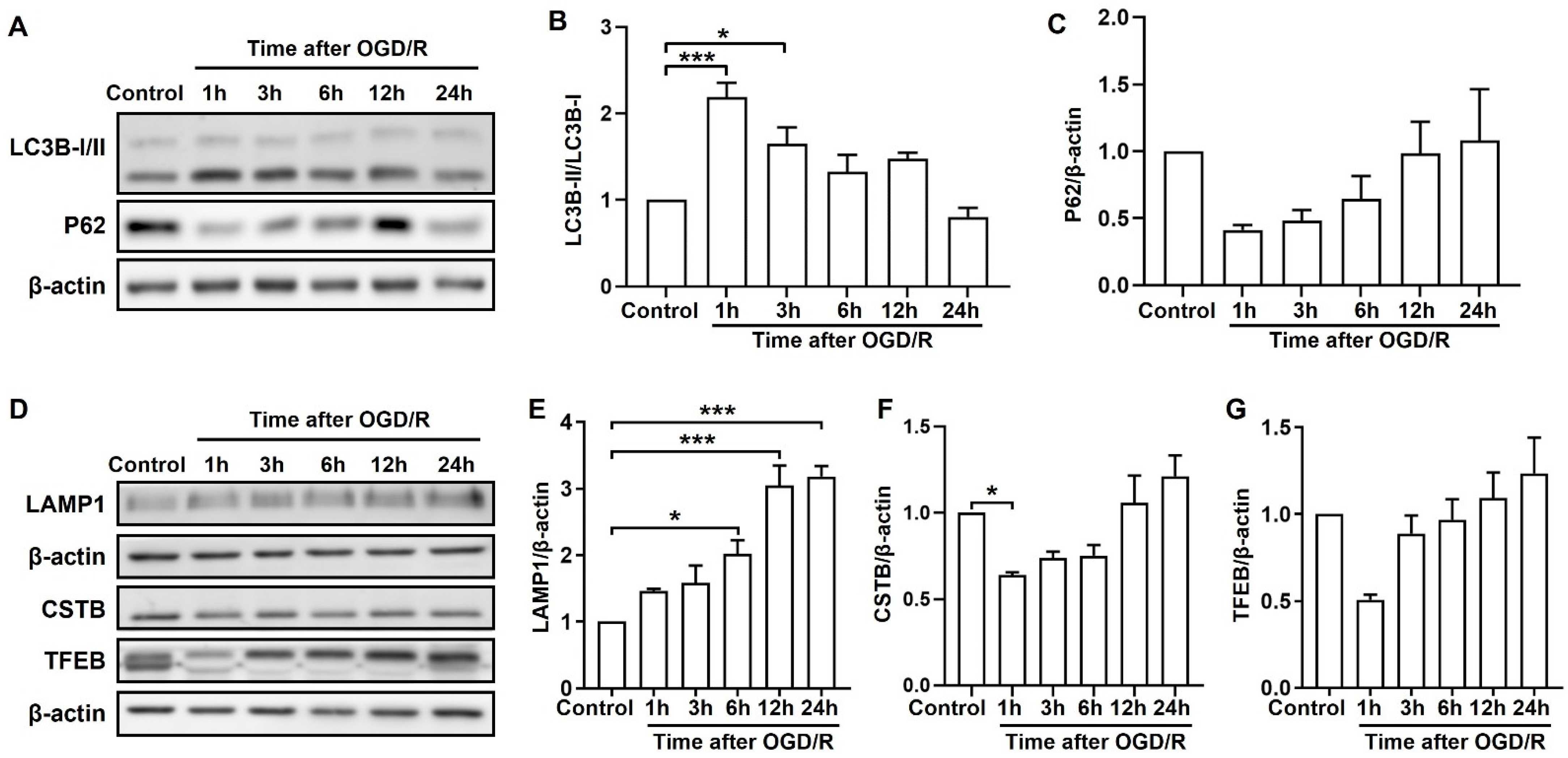Molecules 28 02370 g002 Molecules 28 02370 g002