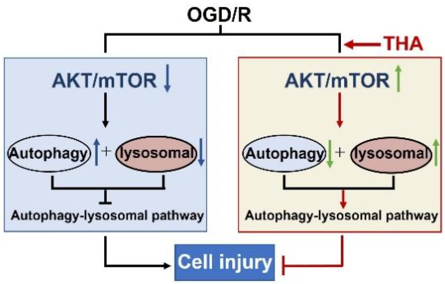 Molecules 28 02370 g005 Molecules 28 02370 g005