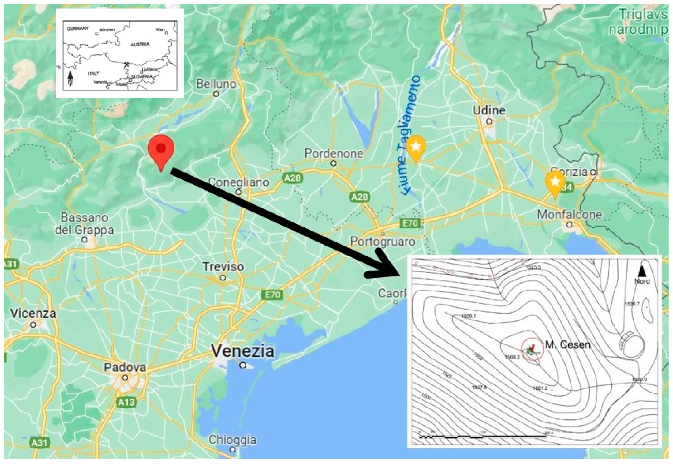 Molecules 28 02382 g001 Molecules 28 02382 g001