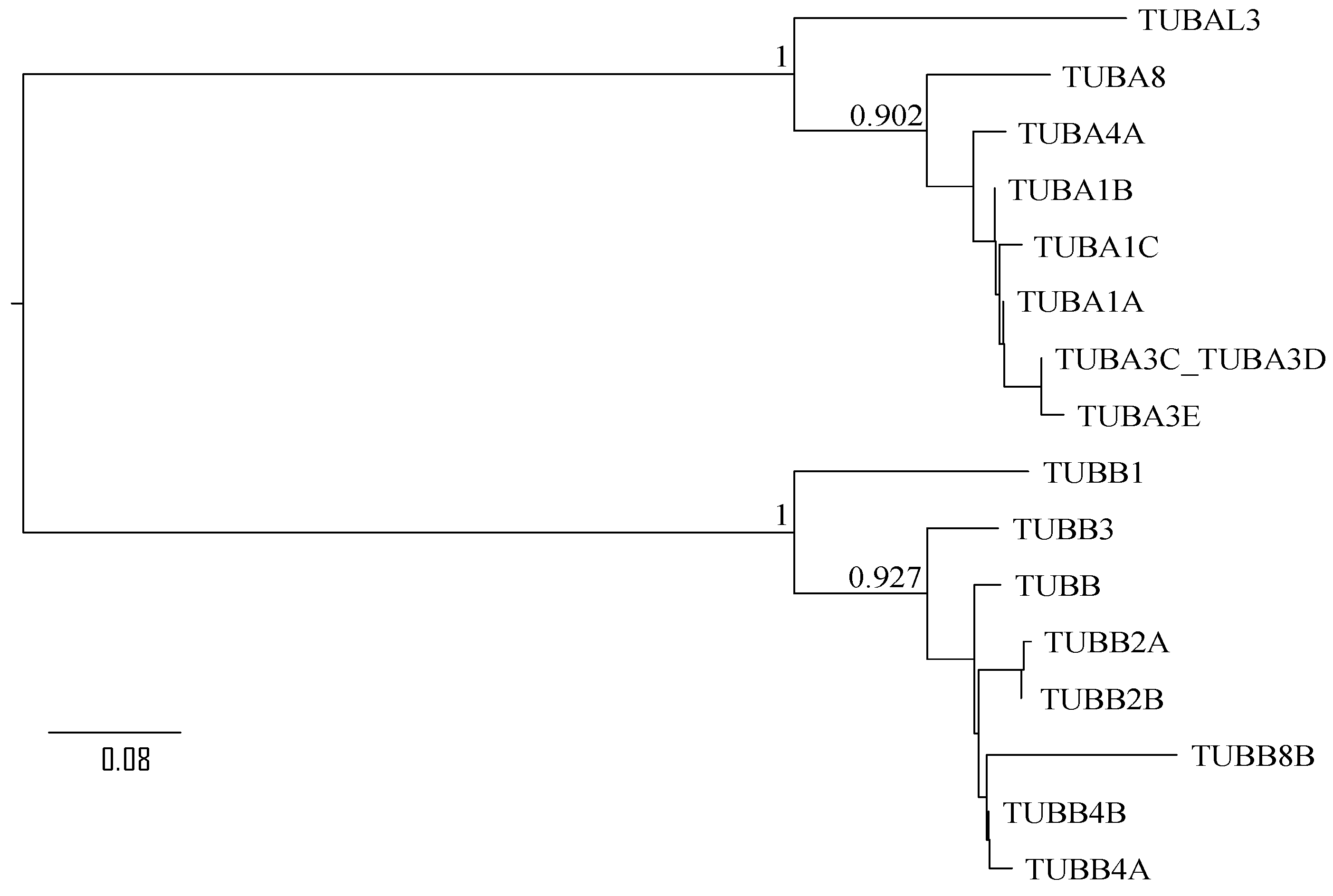 Molecules 28 02384 g003