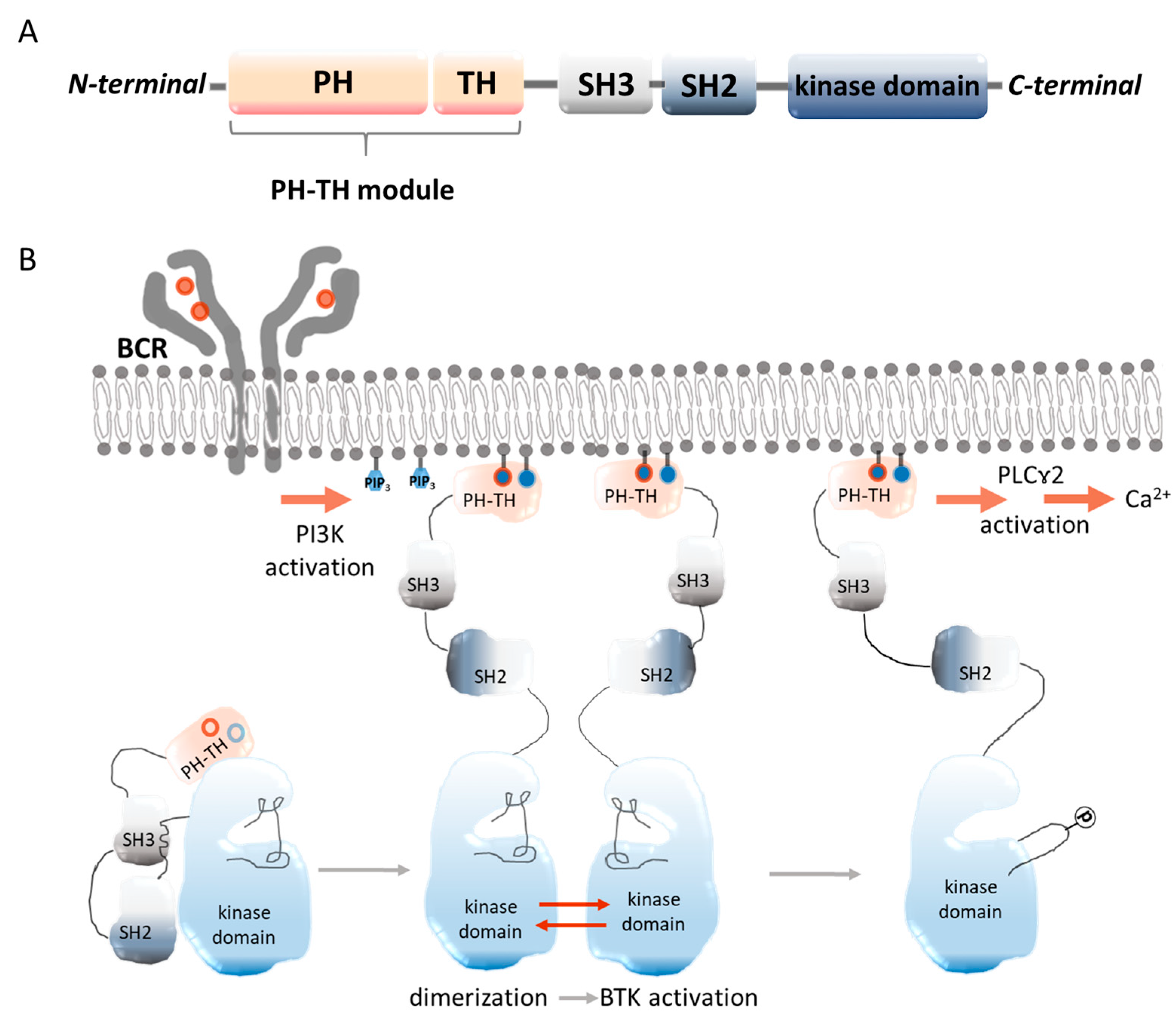 Frontiers  Evaluation of Serum Levels of Transient Receptor