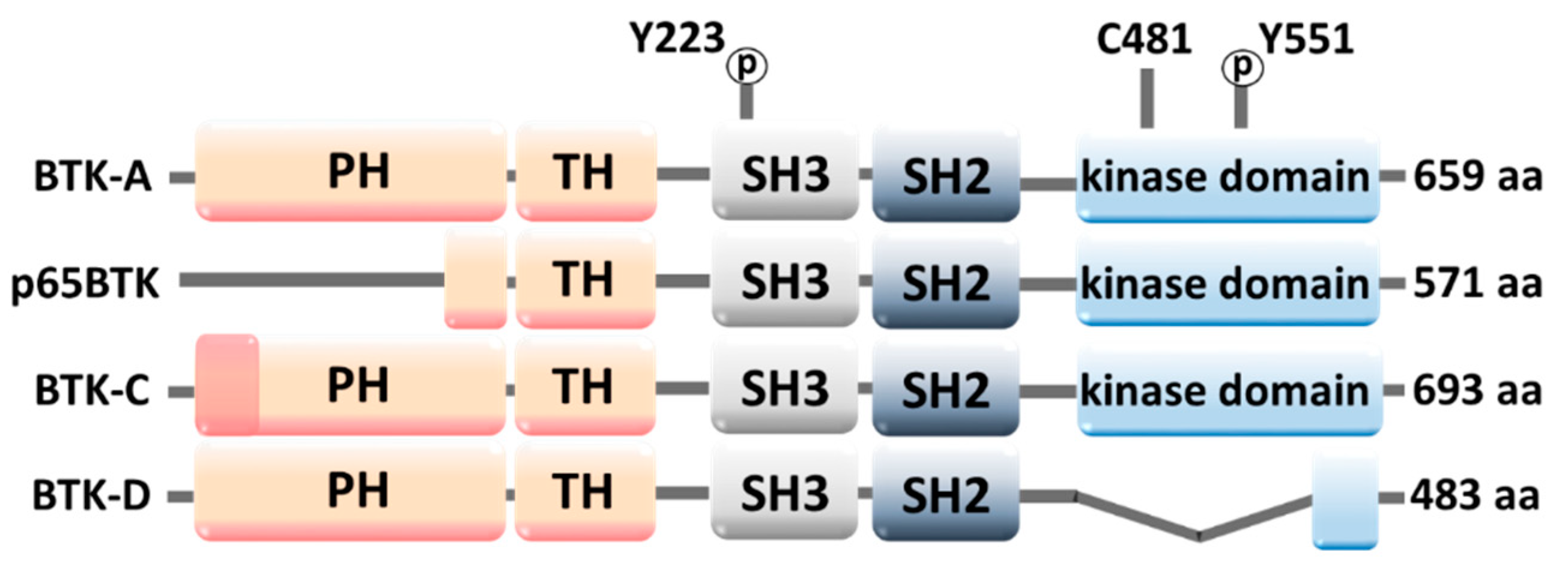 Molecules | Free Full-Text | Bruton’s Tyrosine Kinase Inhibitors (BTKIs ...
