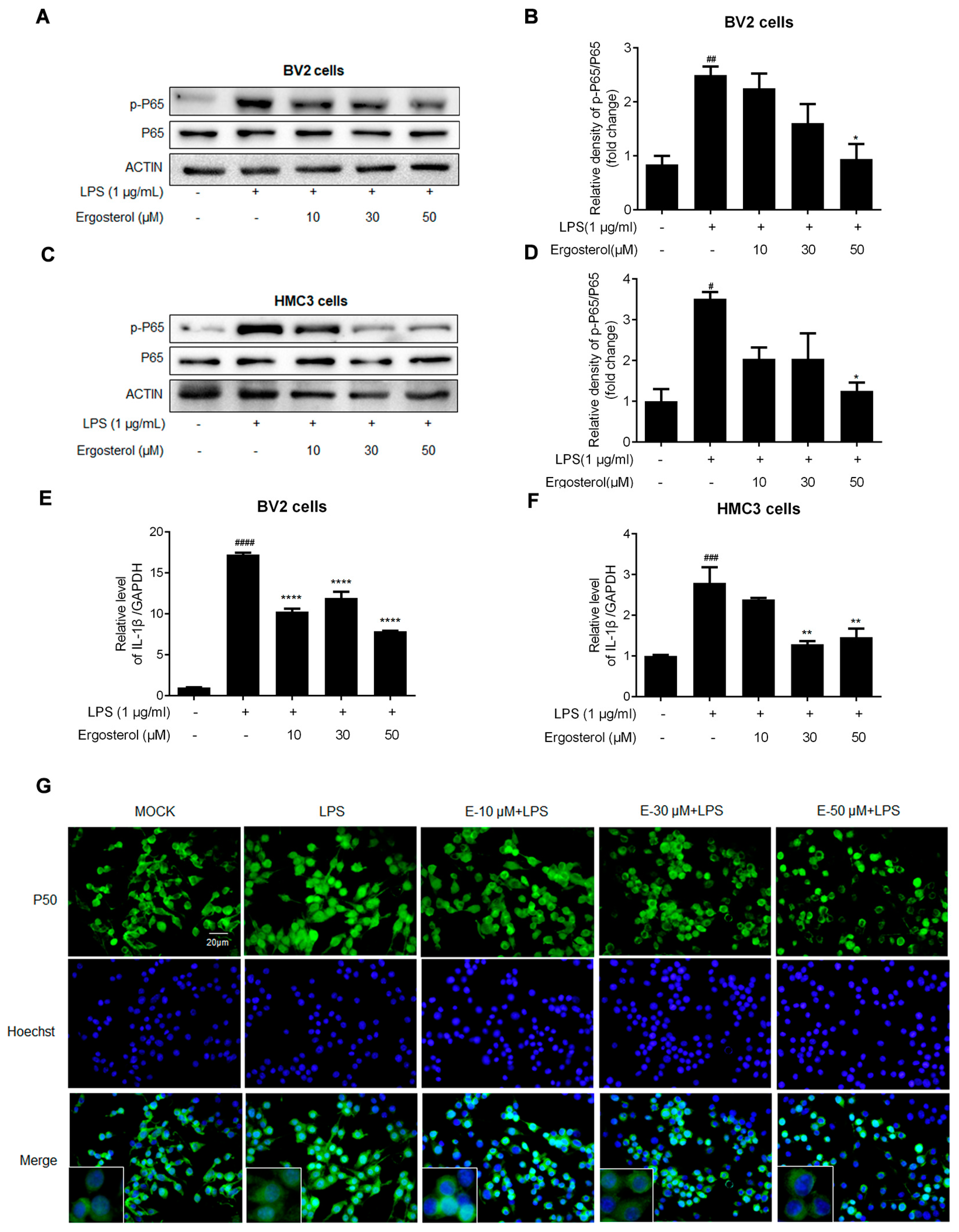 Molecules 28 02406 g002 Molecules 28 02406 g002