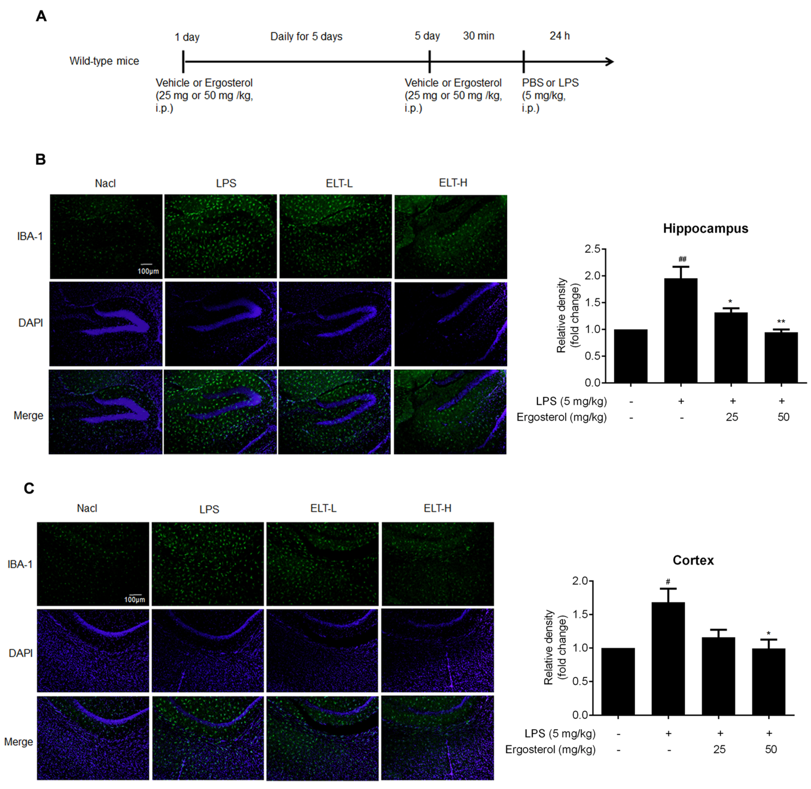 Molecules 28 02406 g004a Molecules 28 02406 g004a